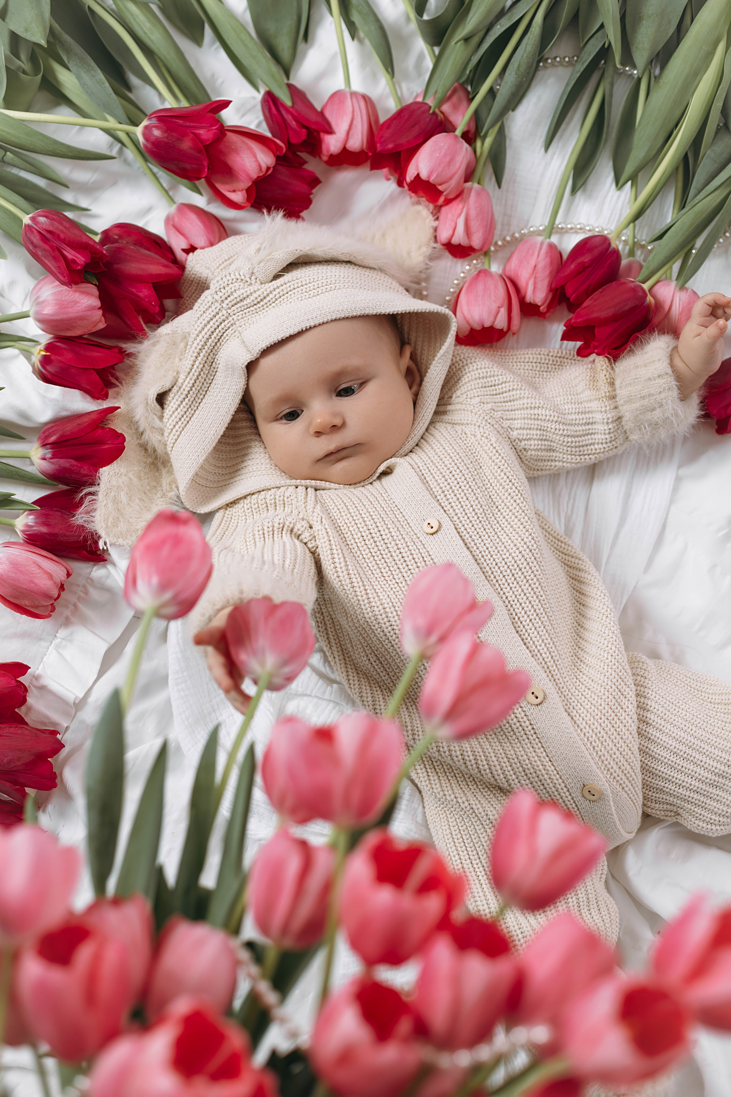 Лев и Маша. Фотограф Сальск Катерина