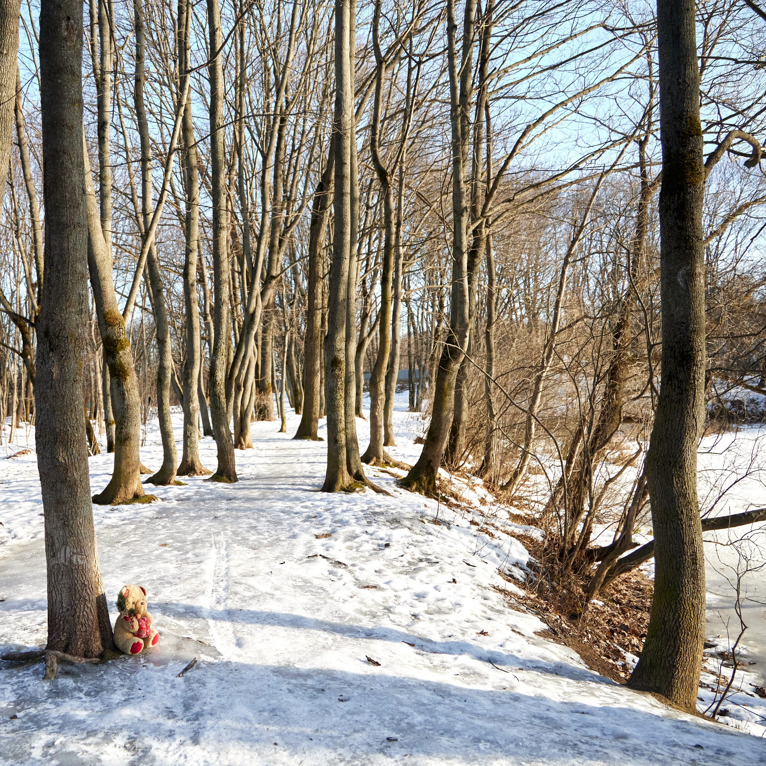 Путешествие одного Медведя. Предметный и контентный фотограф в Москве Курочкина Оксана