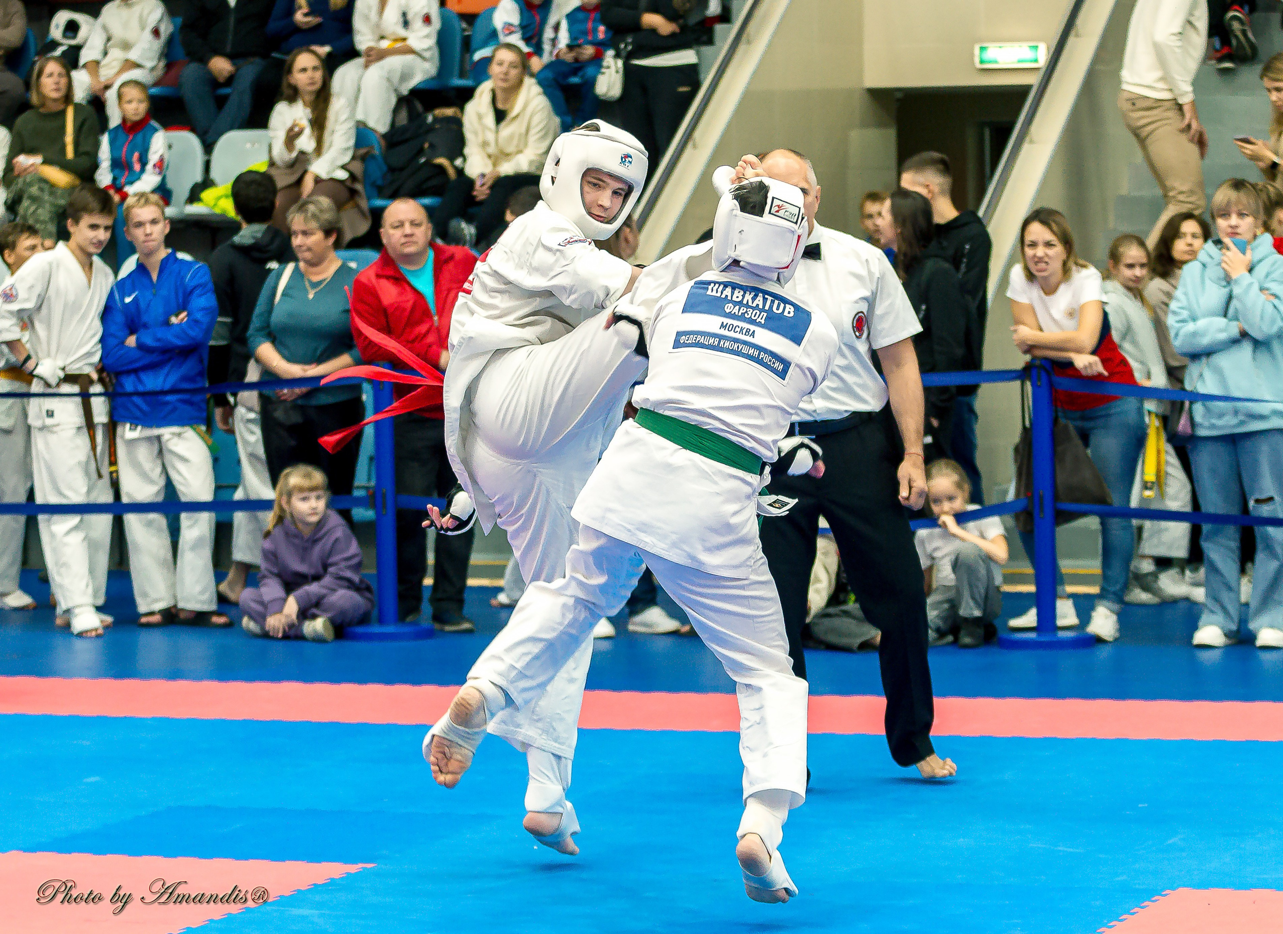 Чемпионат по Киокушинкай Центрального Федерального округа. Репортажная съемка в Москве и области. Анималистика