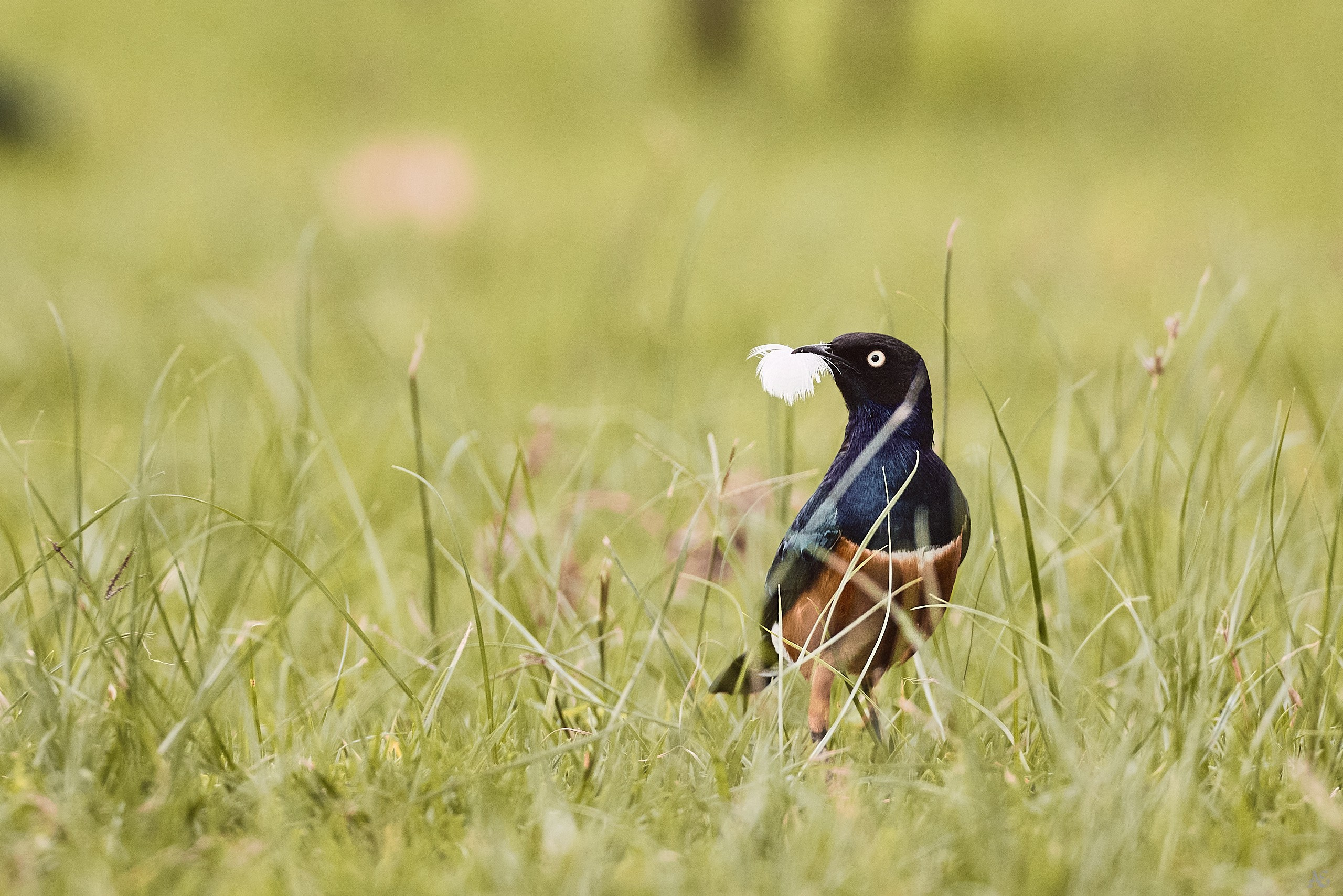 Добавка к подъемной силе