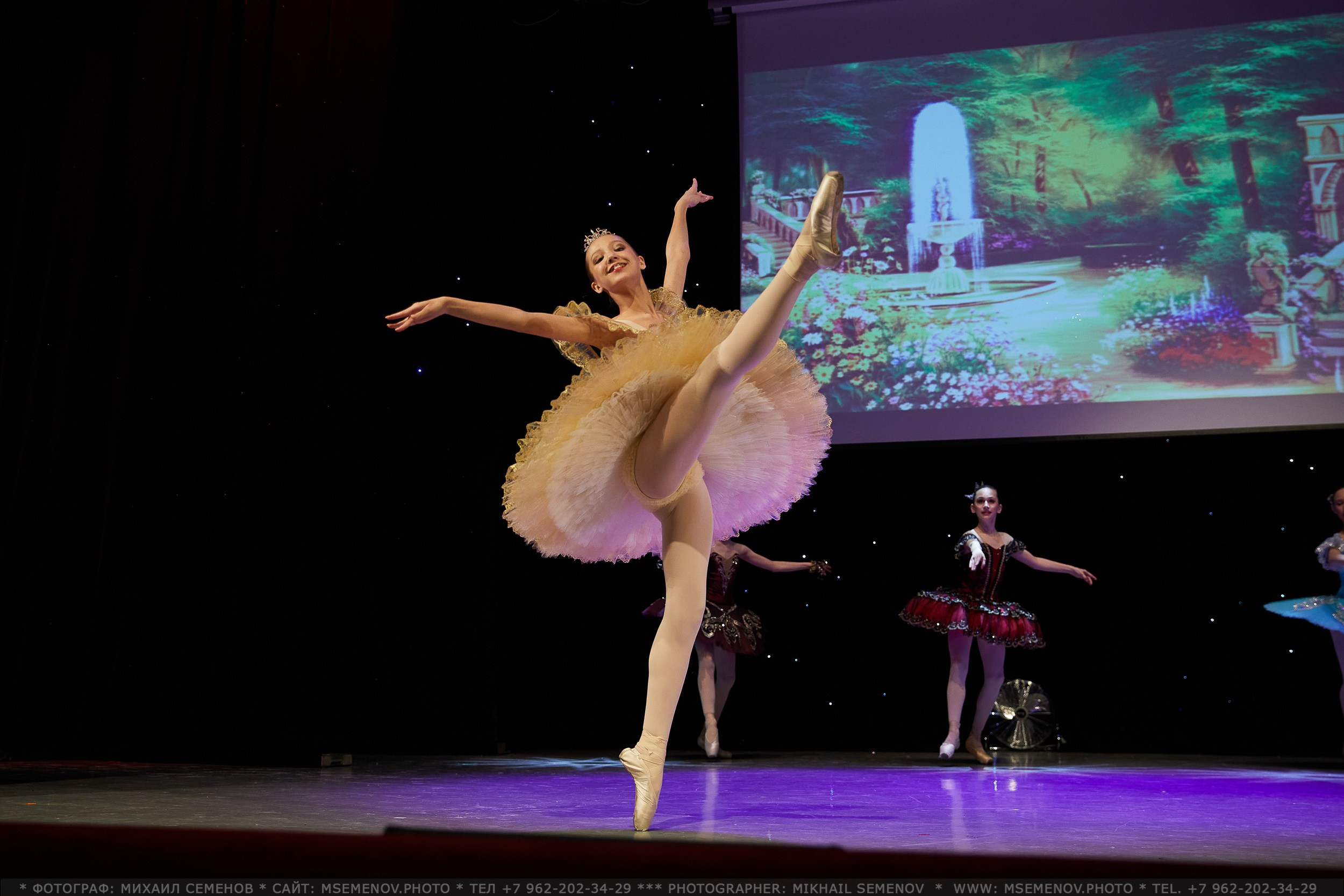 АНОНС фоторепортажа балета-мюзикла «ЖИЛ-БЫЛ КОРОЛЬ». Фотограф, фотопроекты Михаила Семенова в Ярославле. Фотошкола