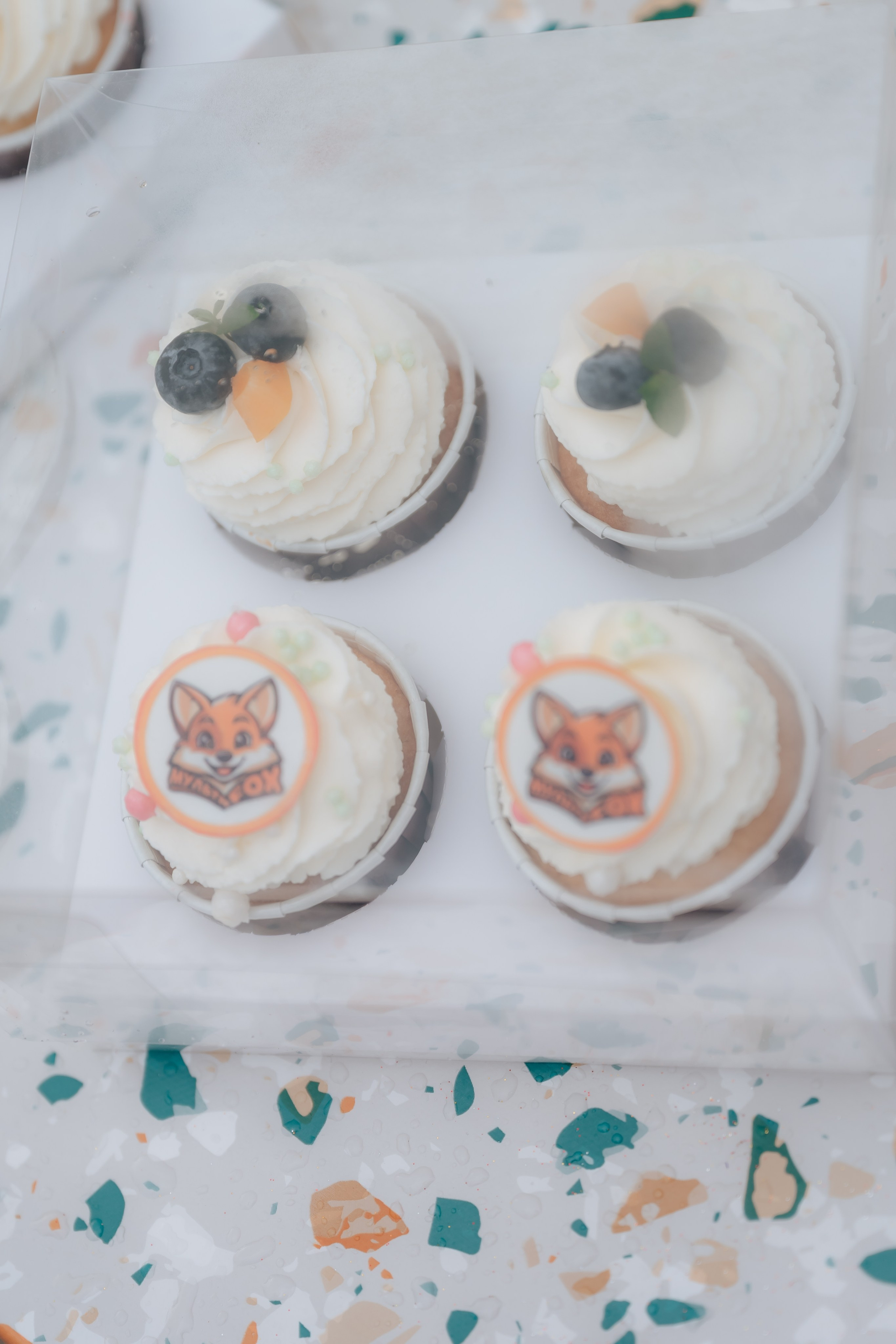 Открытие Мультифокс. Детский и семейный фотограф Катерина Мишина