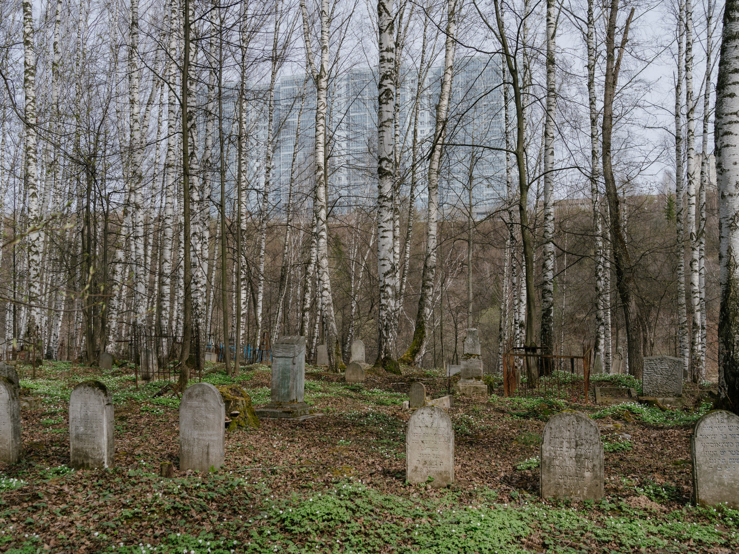 Песни её стороны. Pavel Basin
