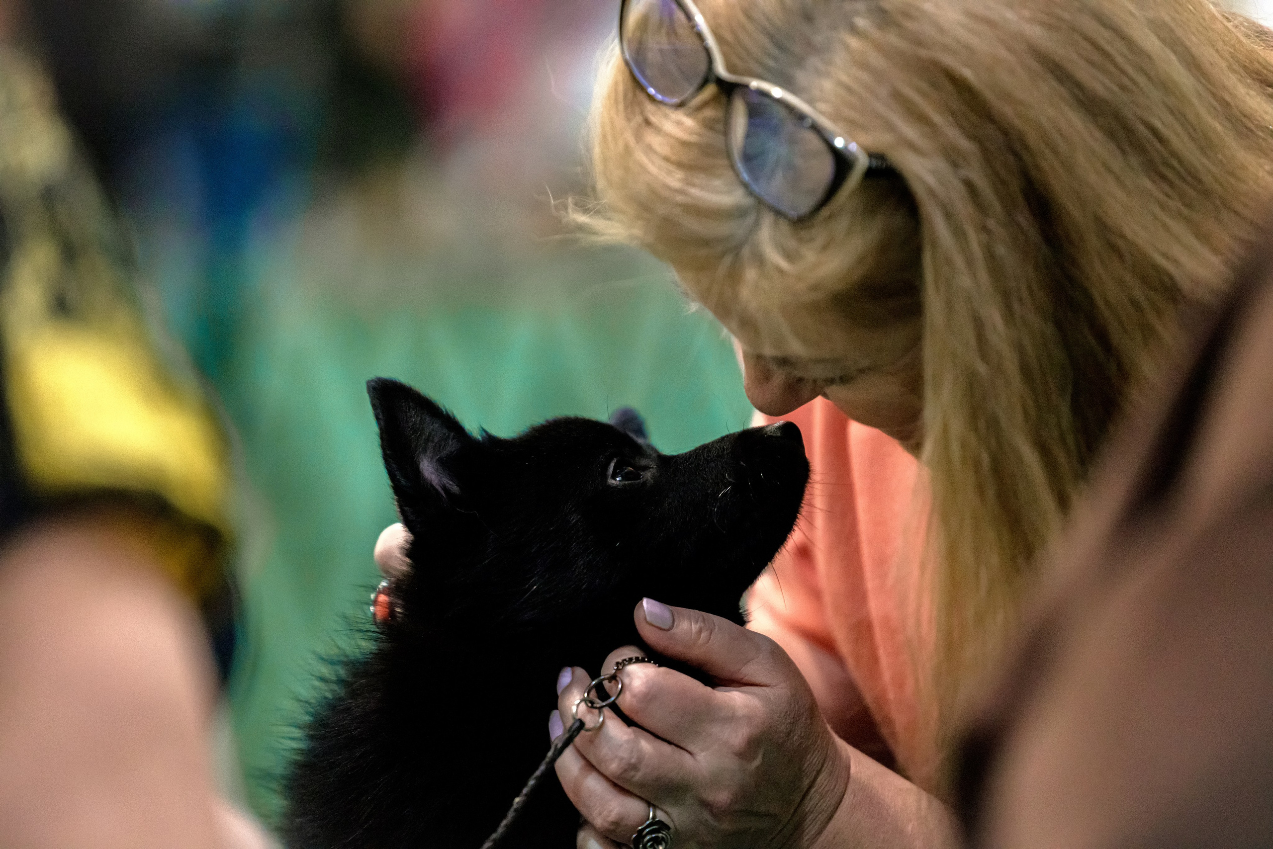 Крокус 3,9 и 10.12.2023. Фотограф-анималист Юлия Германика