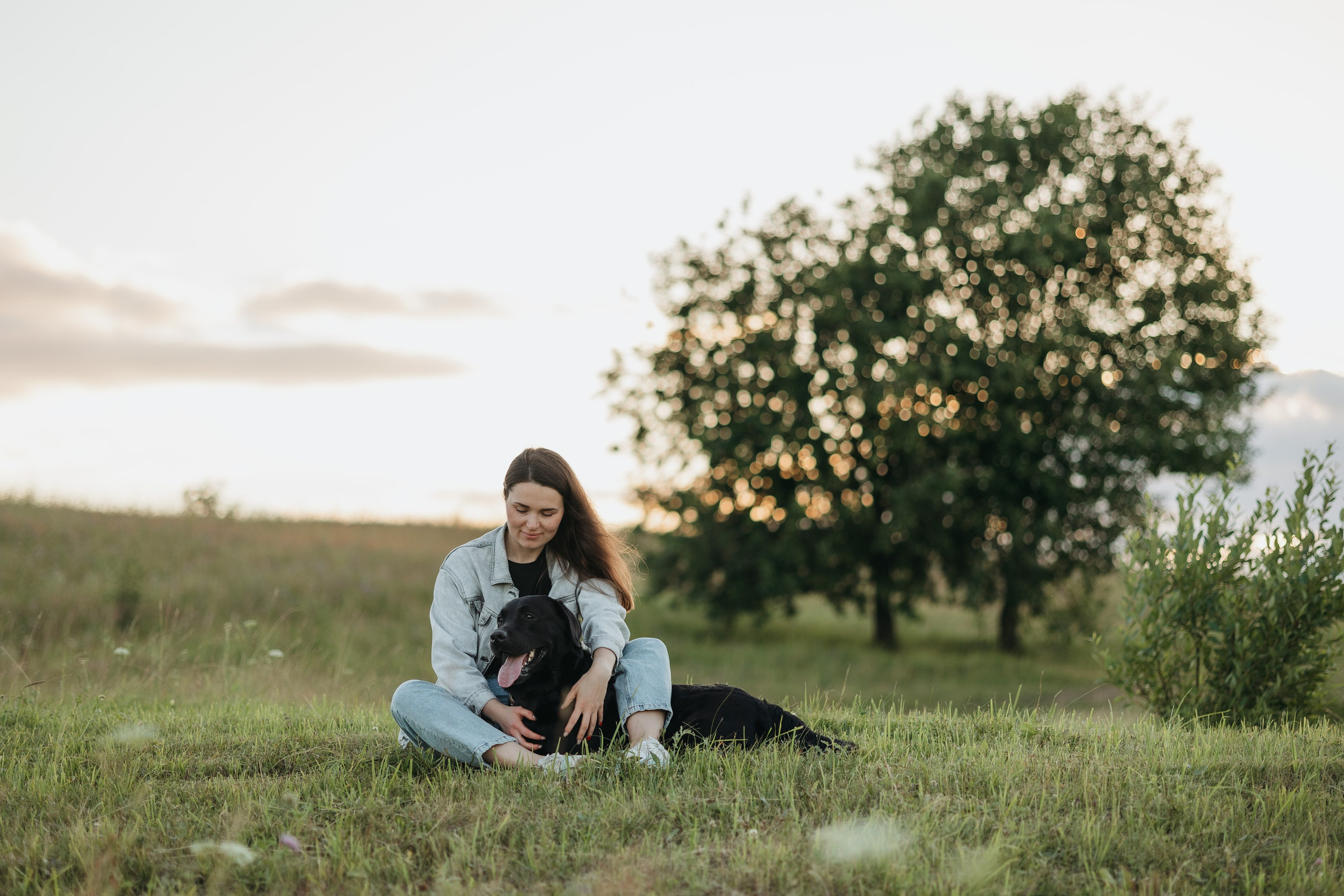 Бомбей и его семья. Фотограф — Анималист | Санкт-Петербург