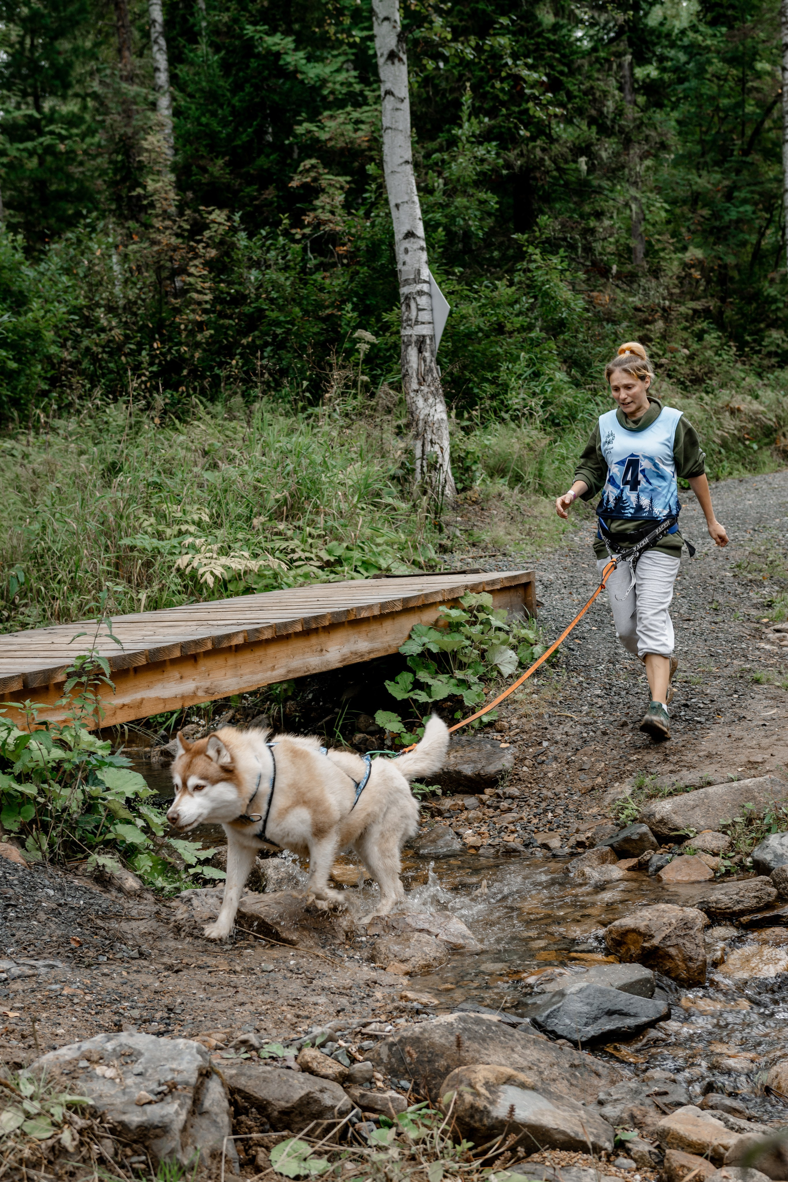 Дог-треккинг