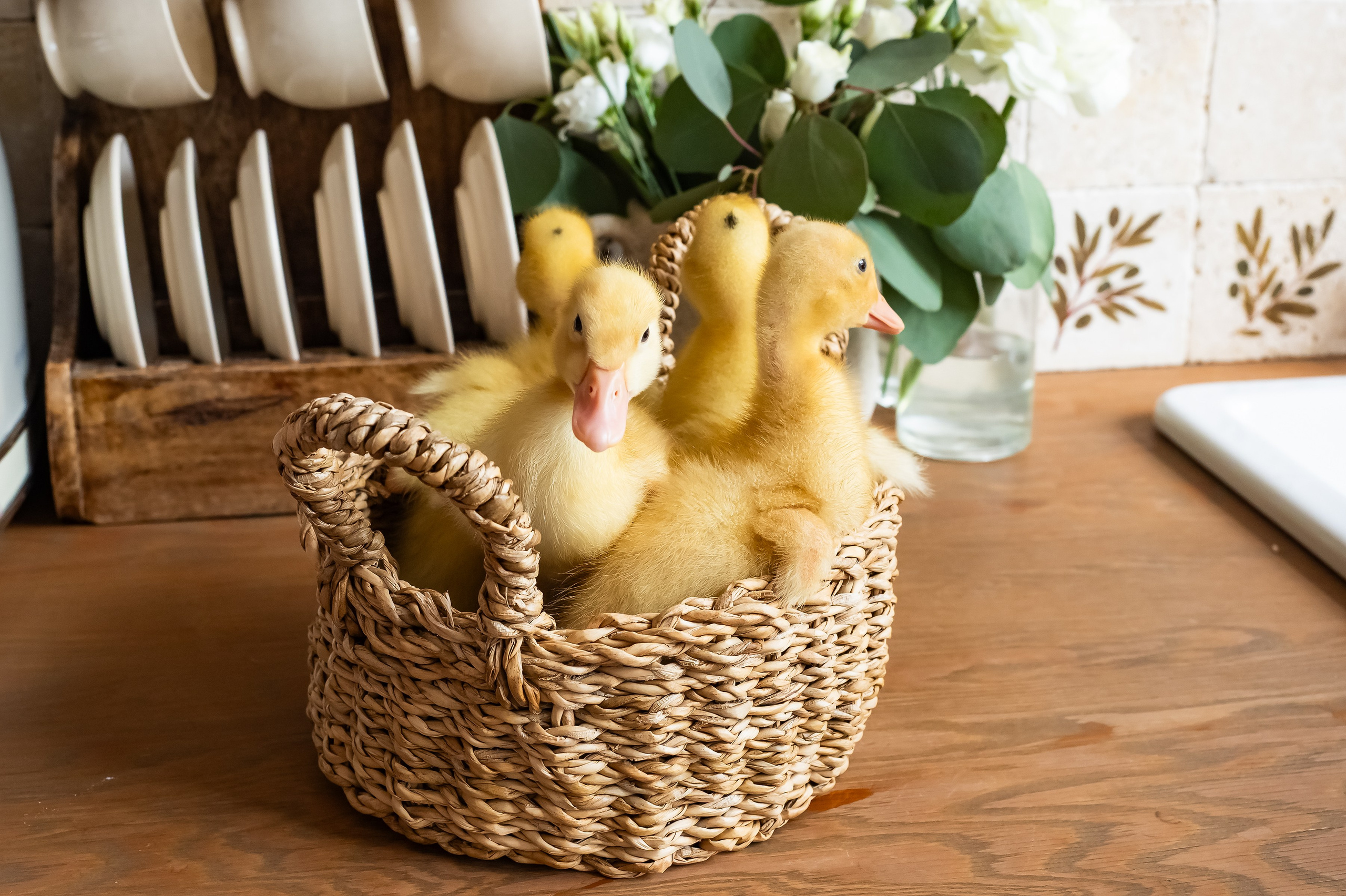 Мира 1 год. Репортажный, семейный и детский фотограф в Пензе и Заречном Арина Ермилова. Картины барельеф на заказ