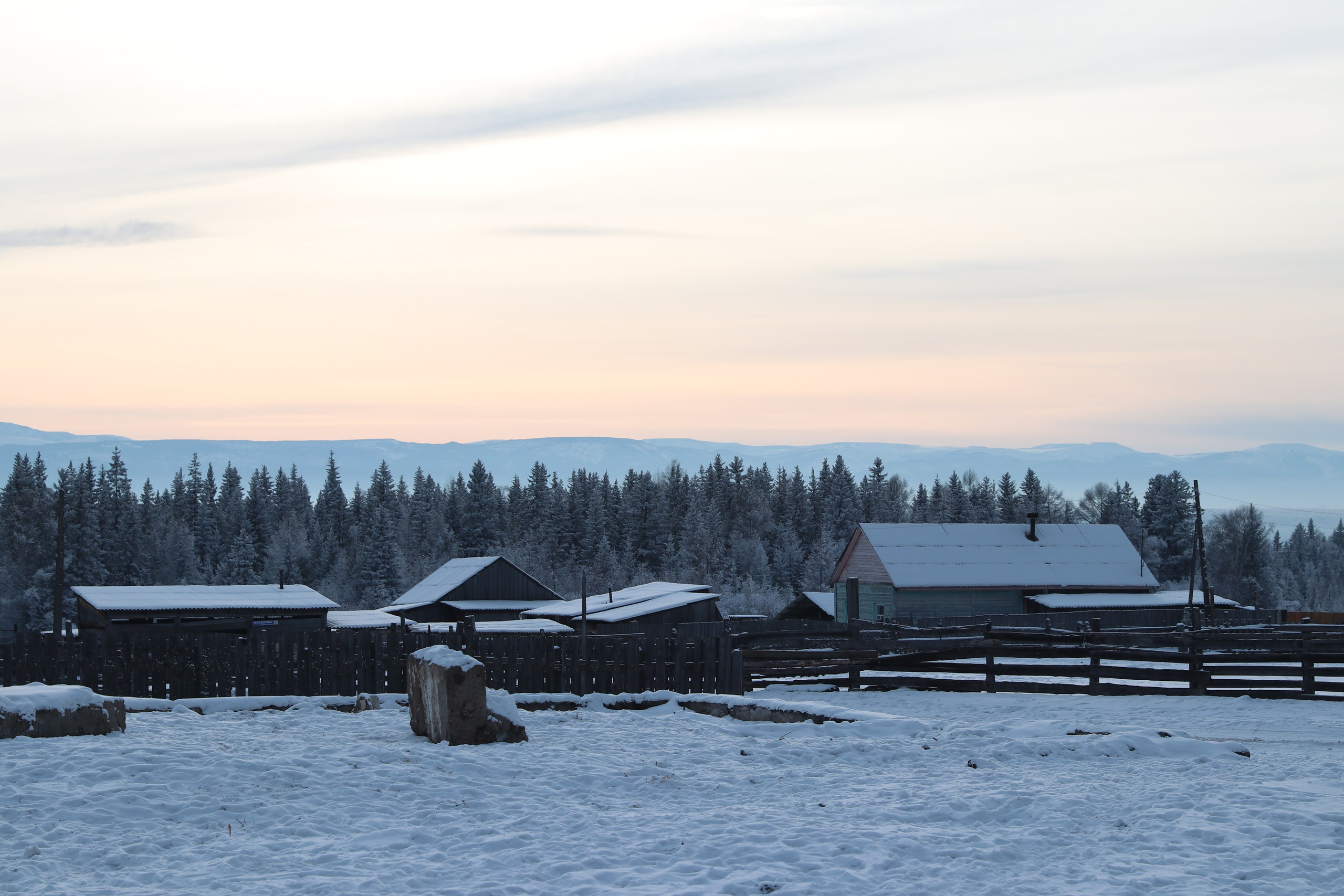 Аршан. Январь 2024. Путешественник-фотограф из Санкт-Петербурга Татьяна Свистулина