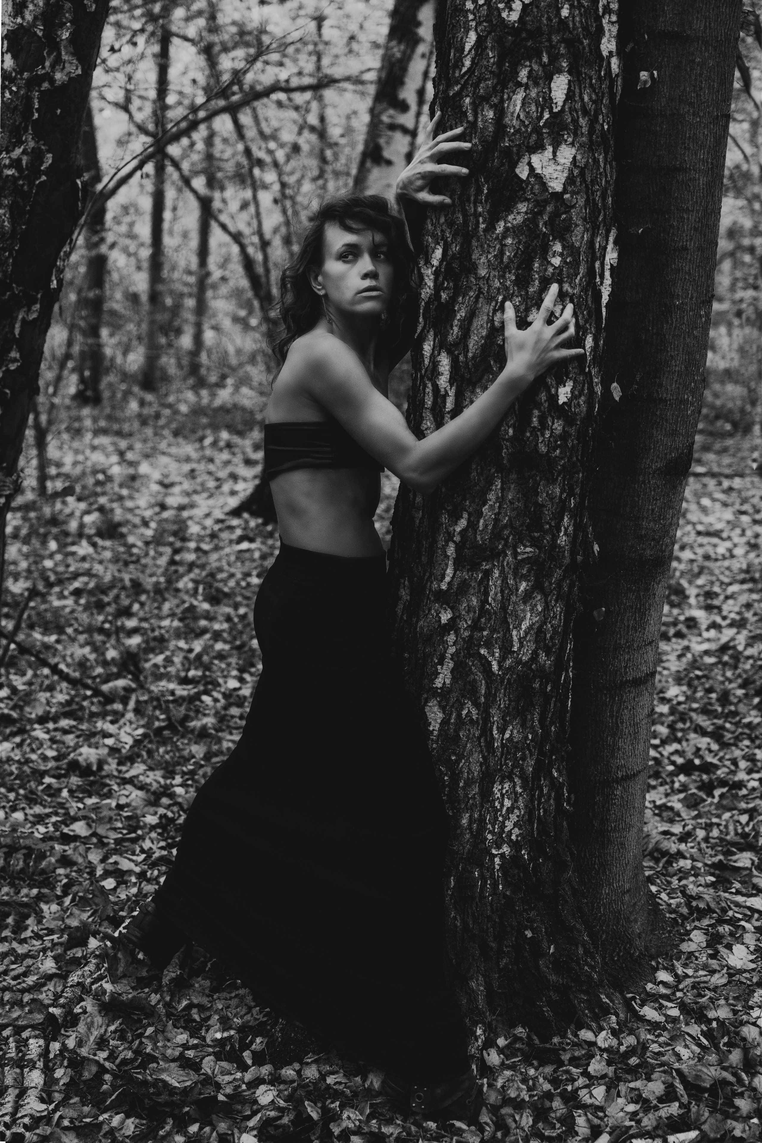 Kristina-Brauer. Shamirov Arkadiy