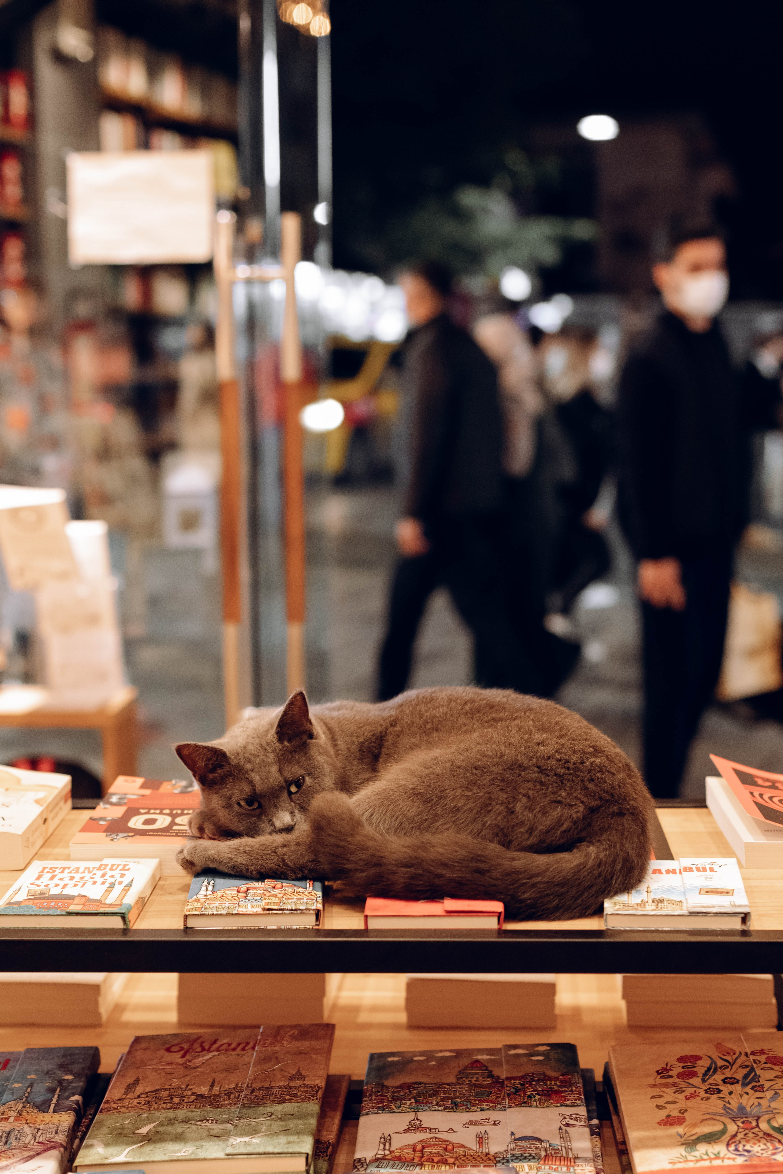 Istanbul. Katerina Spekhova