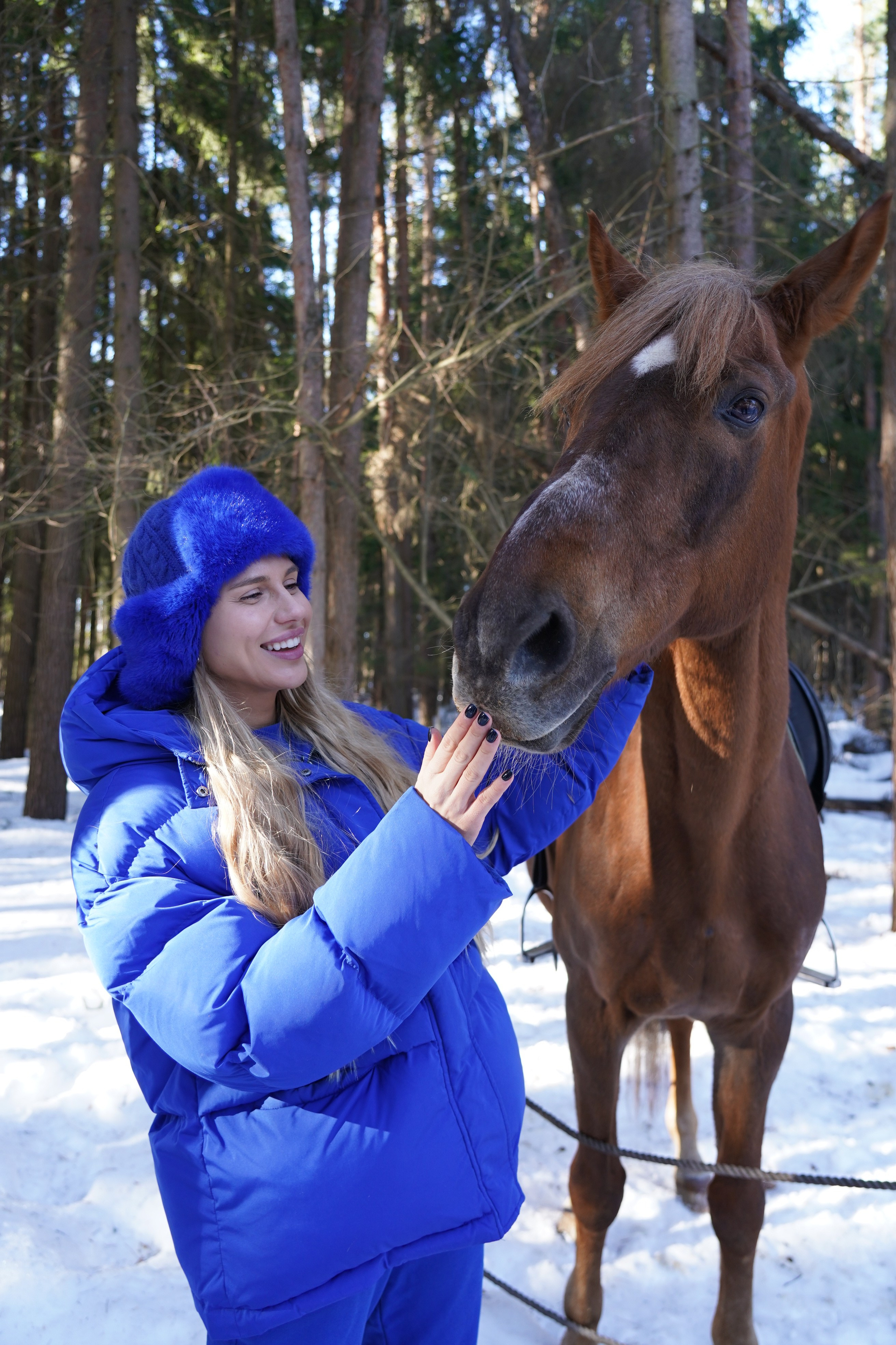 Фотосессия с лошадьми. Главная