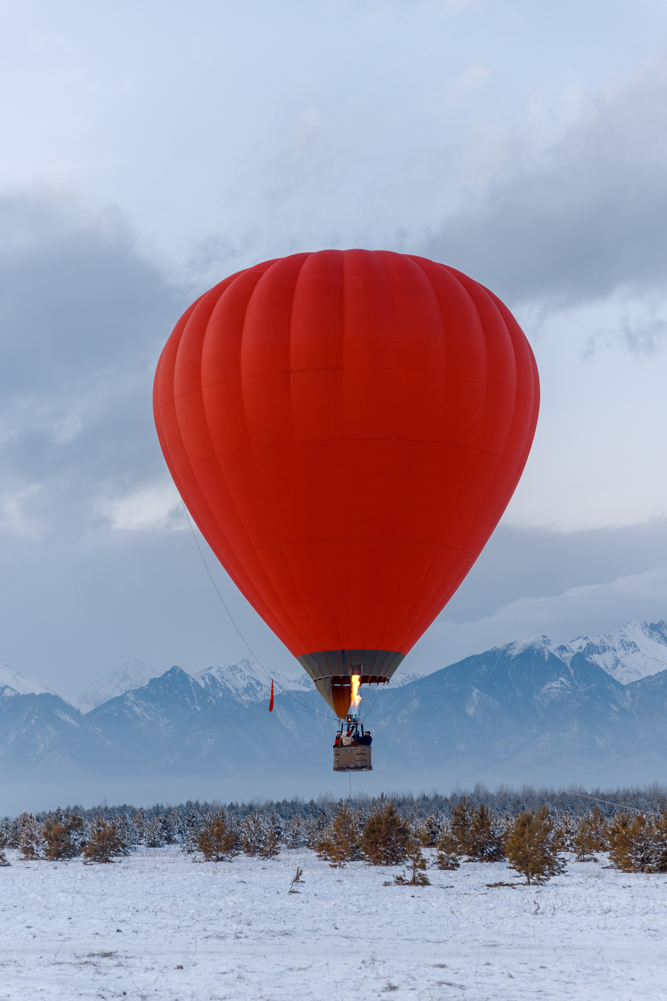 ЯБЛОКИ НА СНЕГУ. Свадебный фотограф Иркутск, репортажный фотограф Иркутск
