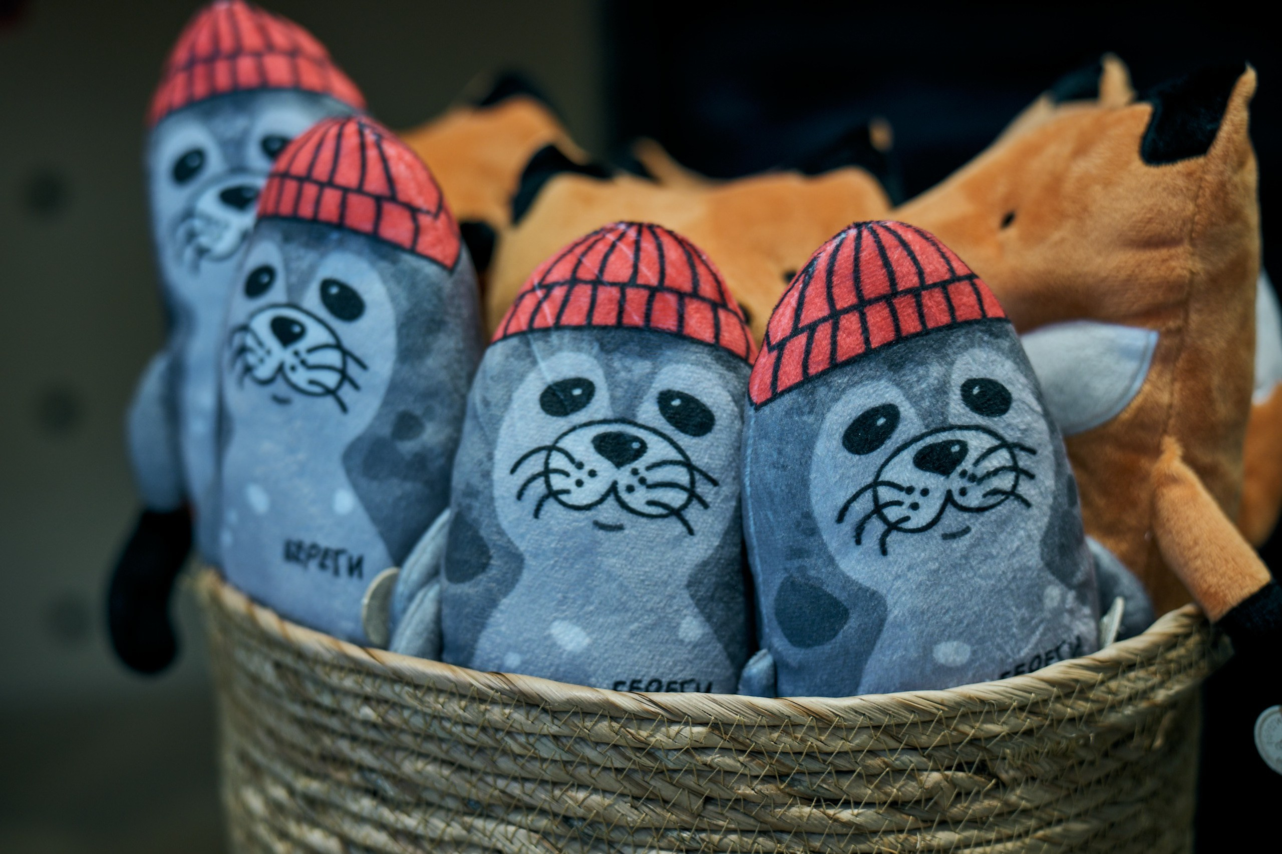 Вэф молодежный день. Профессиональный репортажный фотограф Инесса Иминова