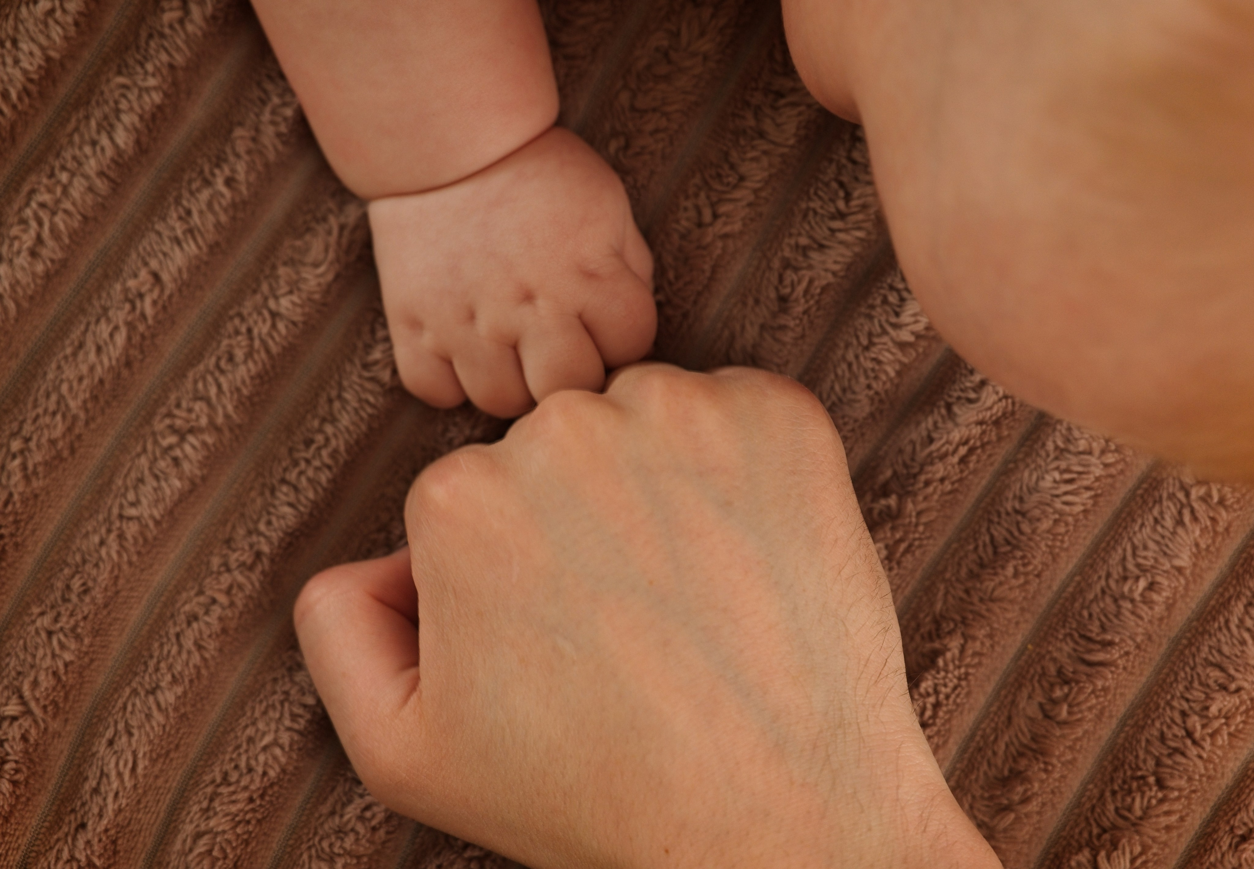 Семья. Семейный и интерьерный фотограф в Норильске и Красноярске