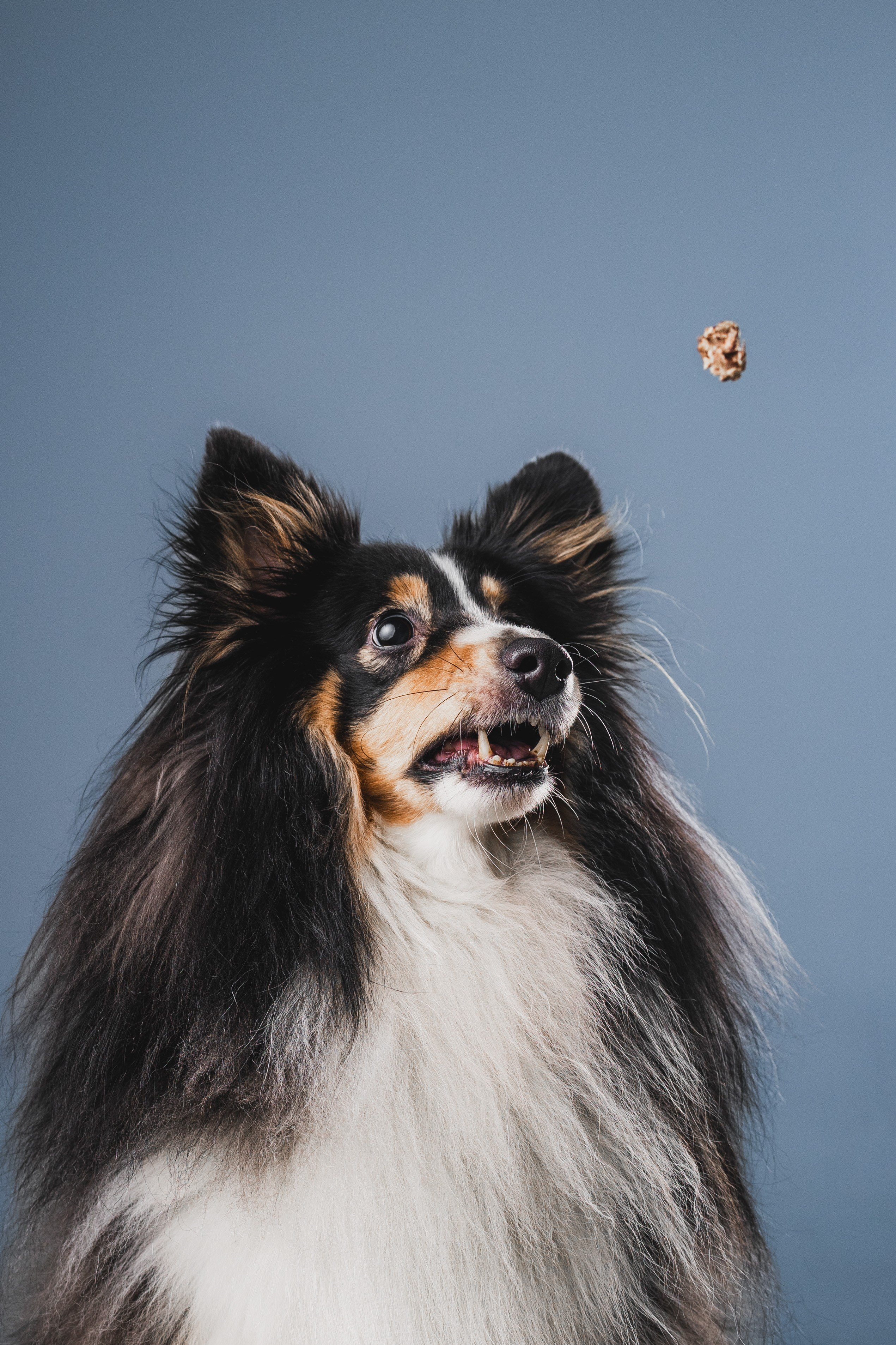 Воркшоп по импульсному свету