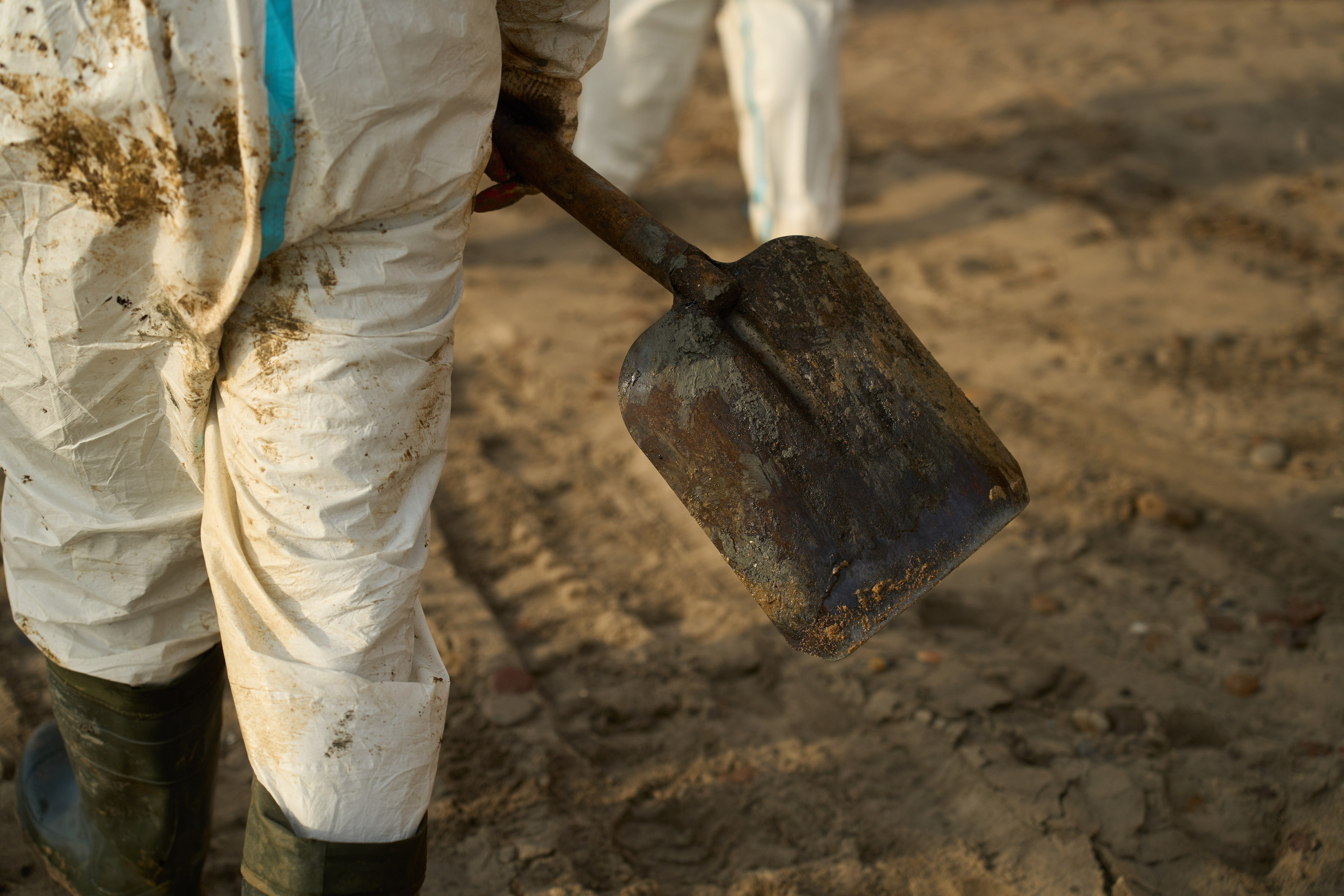 Black Sea. Ksenia Arefieva