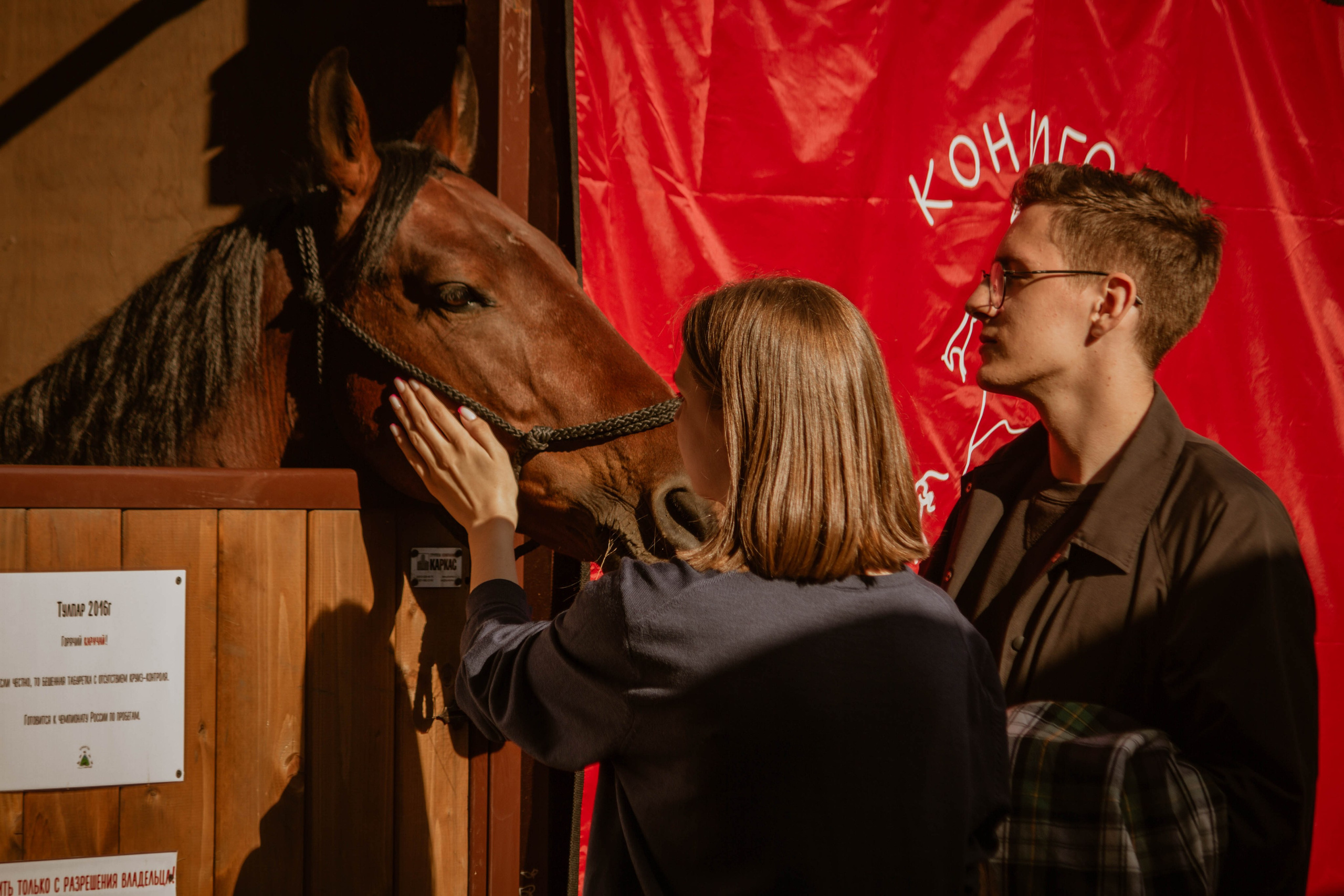 ИППОСФЕРА — Международная конная выставка. Создадим шедевр? Виталина и её фотоискусство