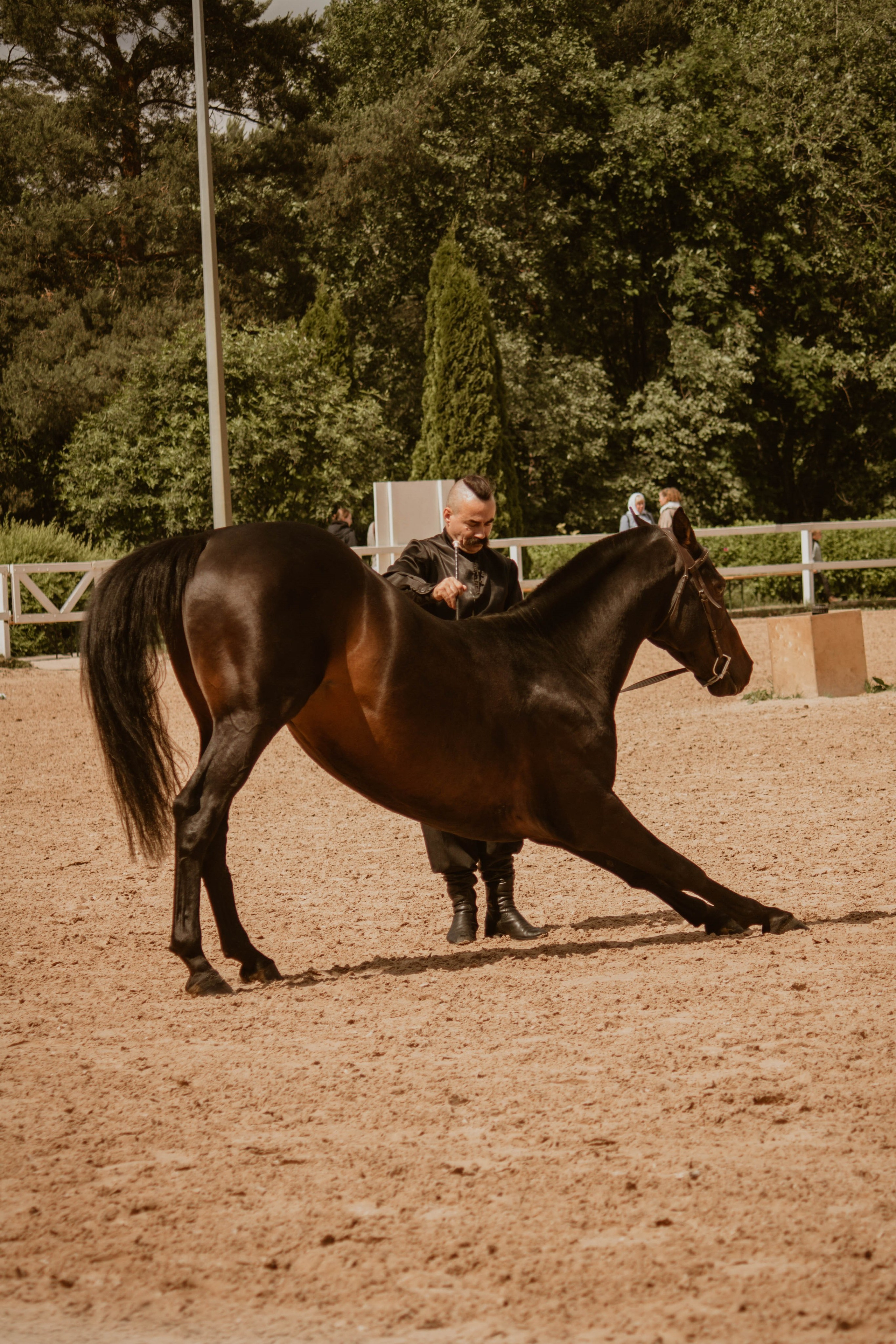 ИППОСФЕРА — Международная конная выставка. Создадим шедевр? Виталина и её фотоискусство