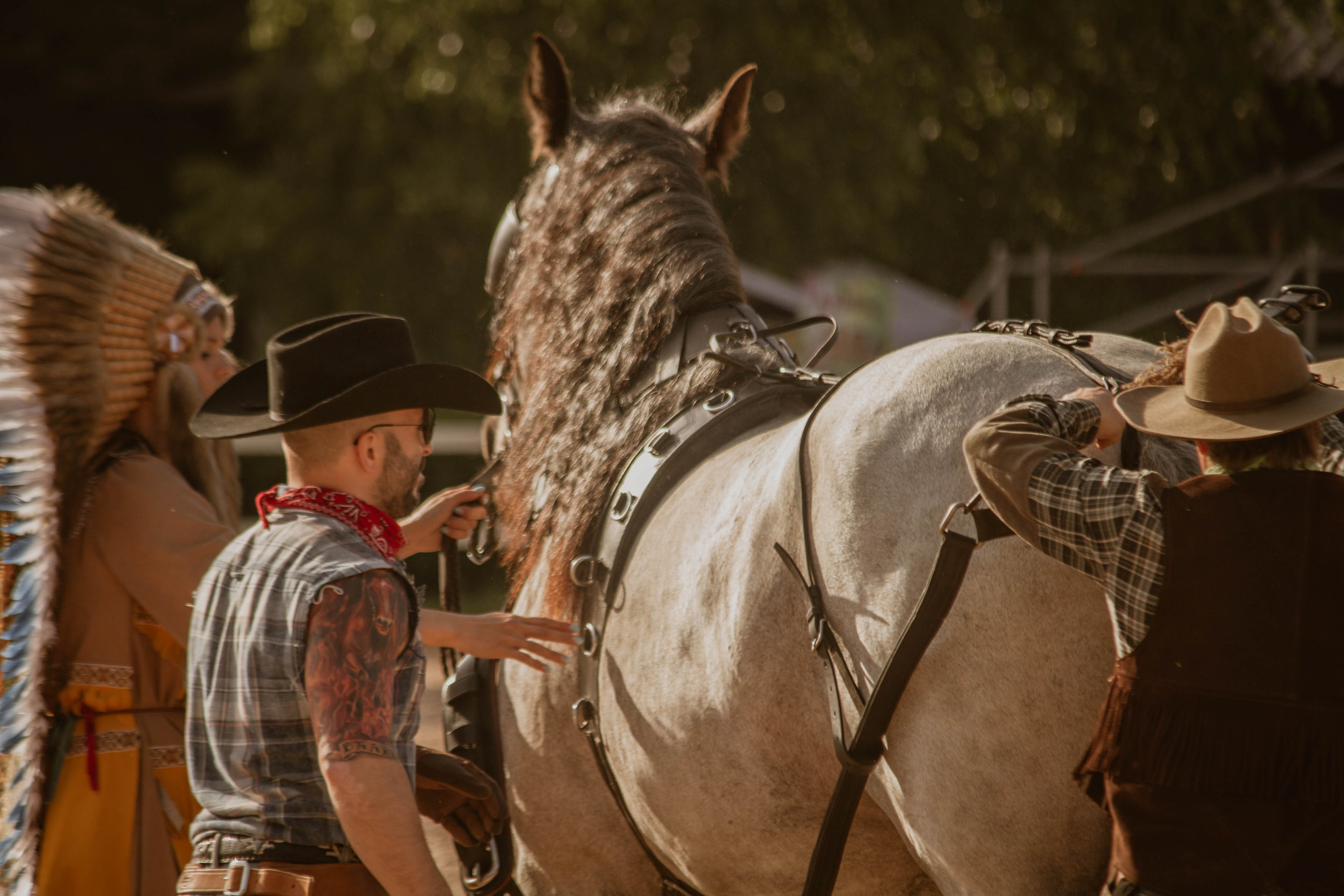 ИППОСФЕРА — Международная конная выставка. Создадим шедевр? Виталина и её фотоискусство
