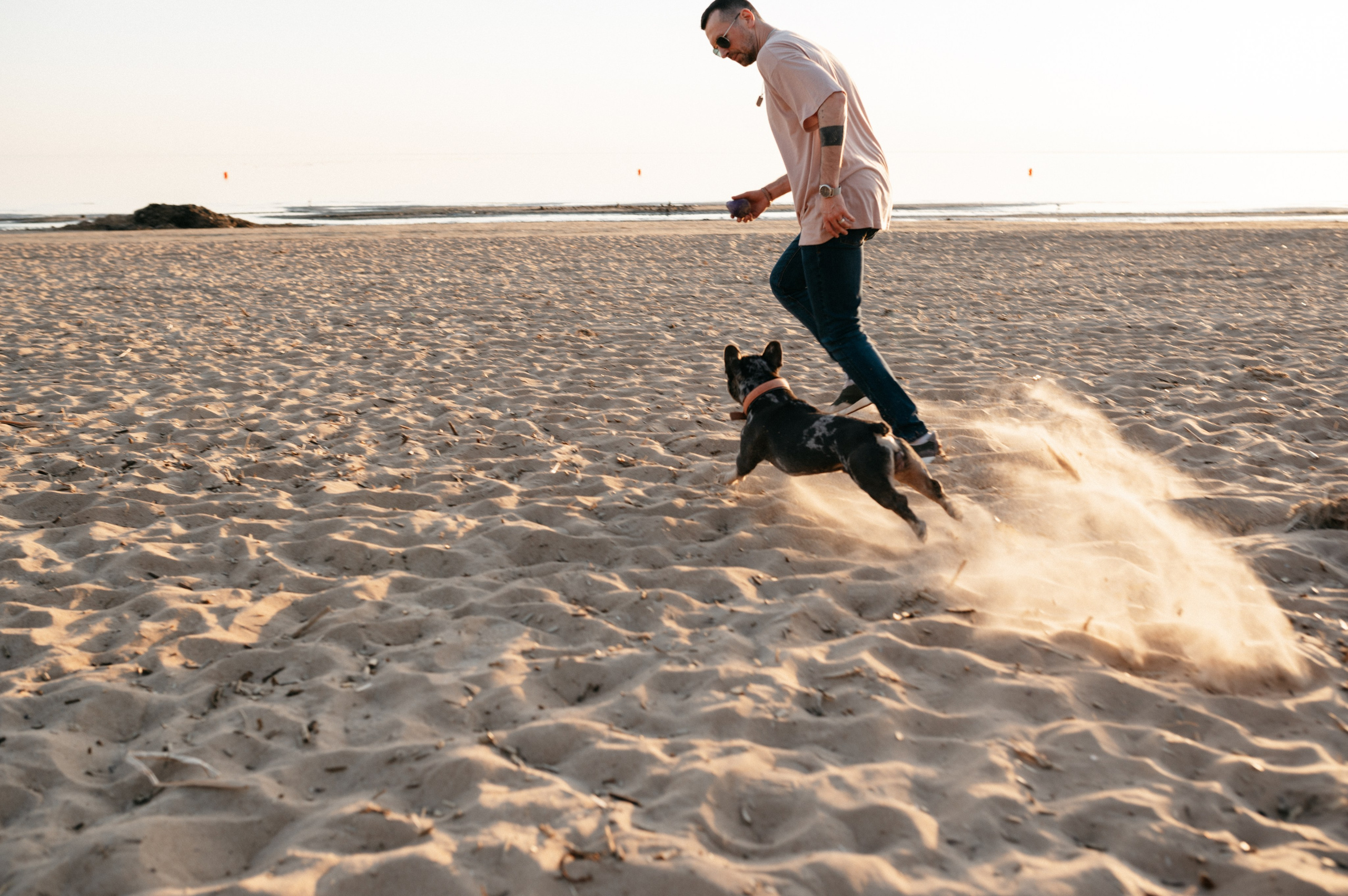 Коля и Бакс. Фотограф анималист в Москве Ольга Агушева