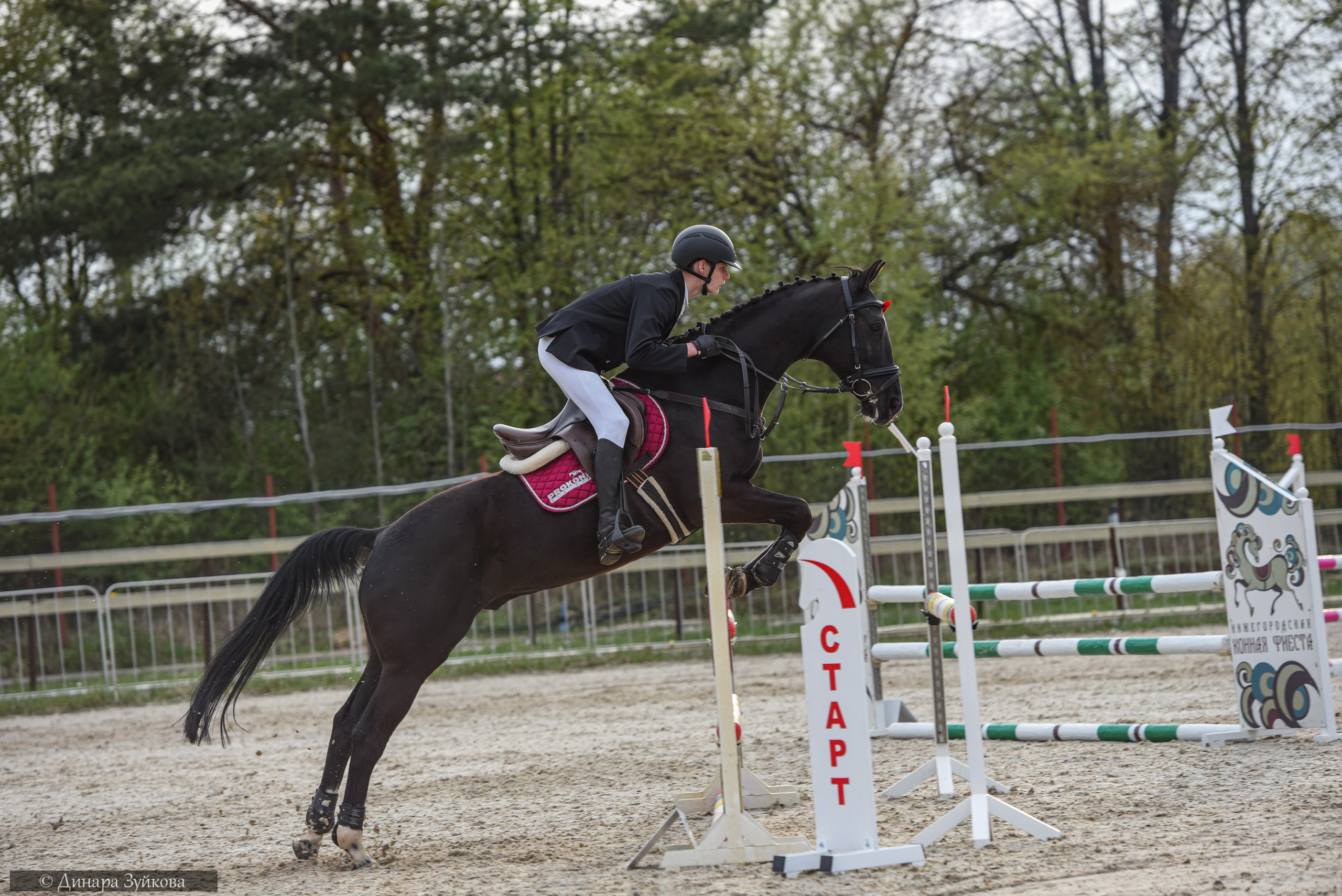 Конкур «Za Победу» КЭК Ассамблея. Мотофотограф в Нижнем Новгороде Динара Зуйкова
