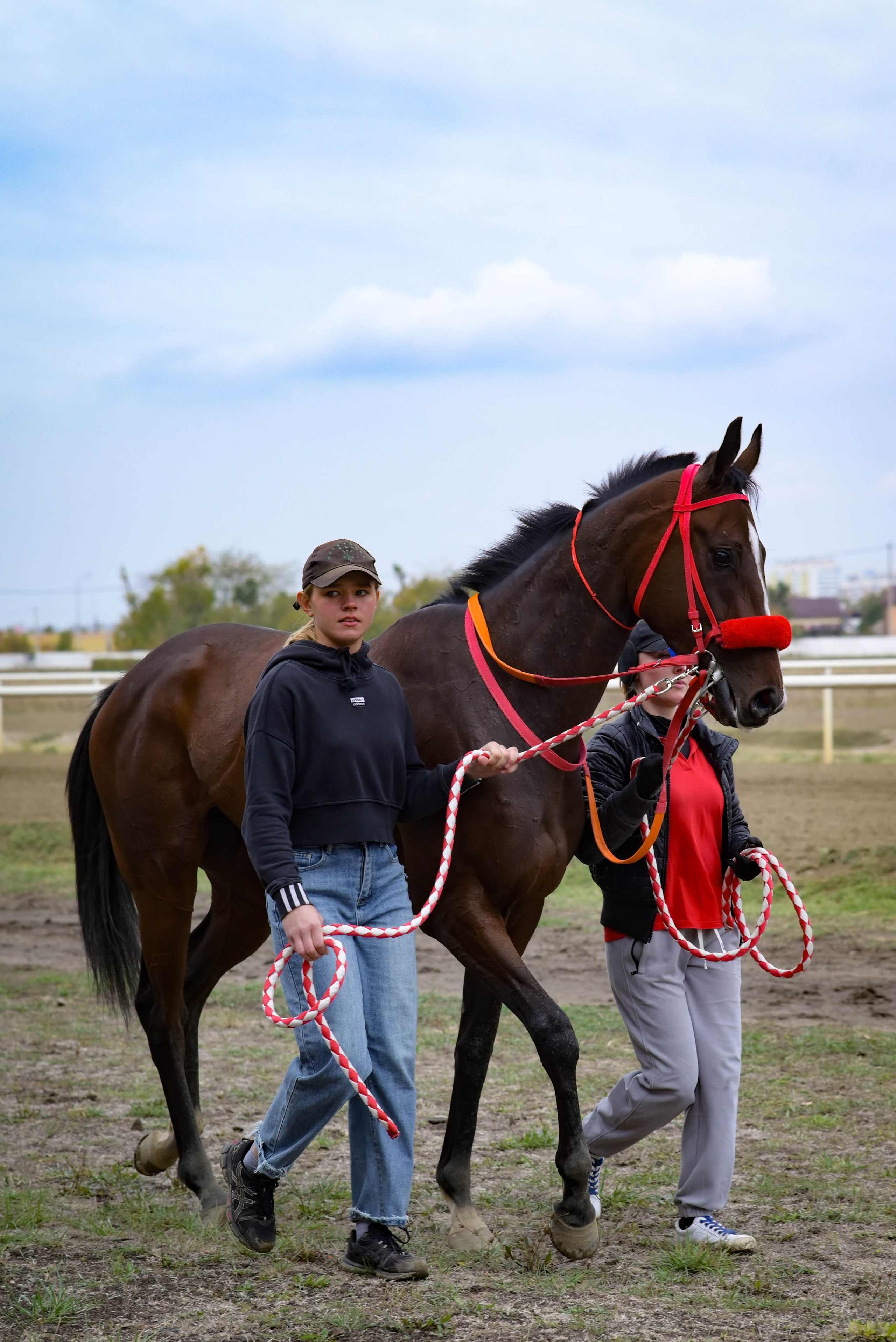 Закрытие скакового сезона 2024 г. Краснодар. Фотограф Краснодар Наталья Сувит