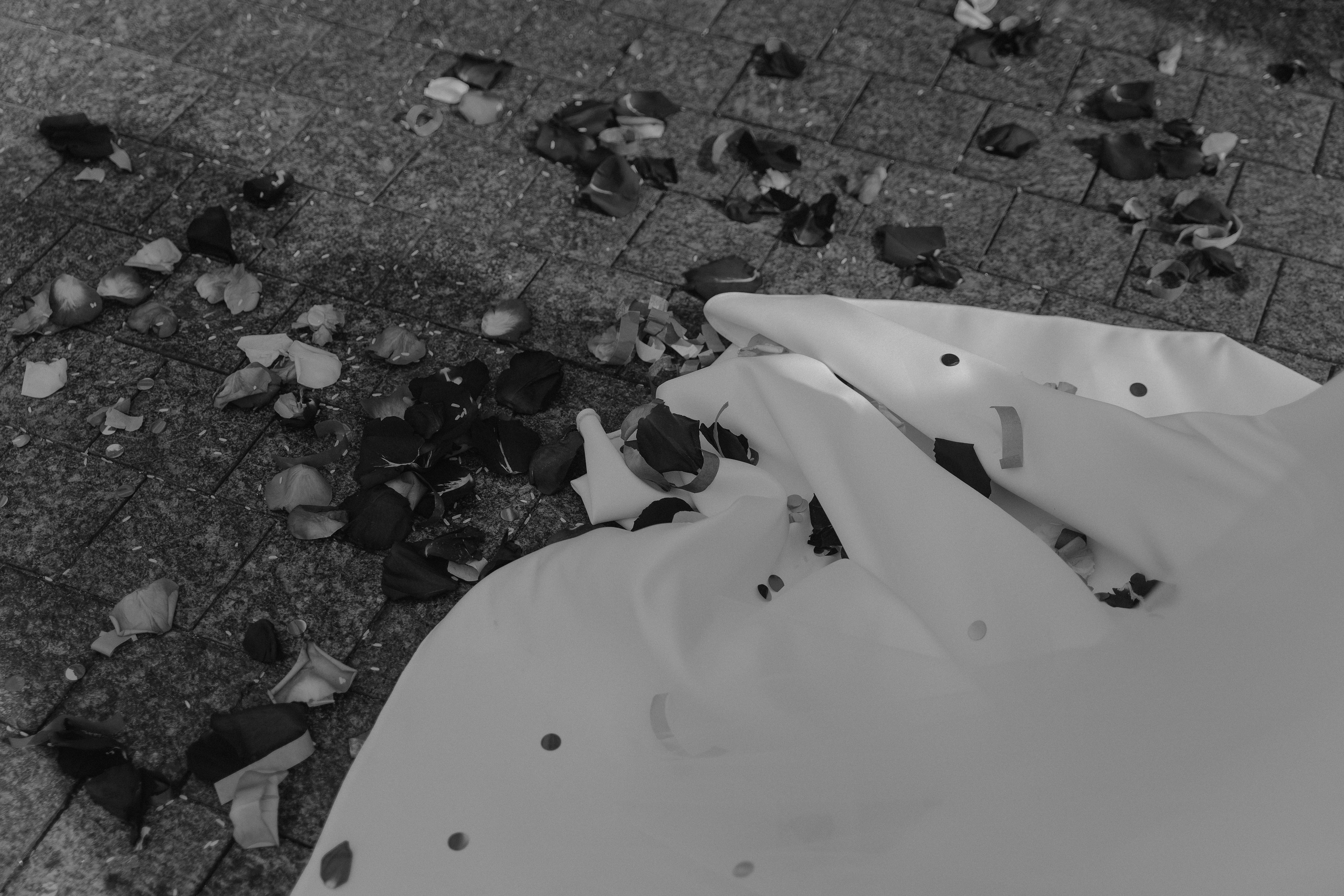 A&V. Свадебный фотограф — Наталья Фед СПб/Москва