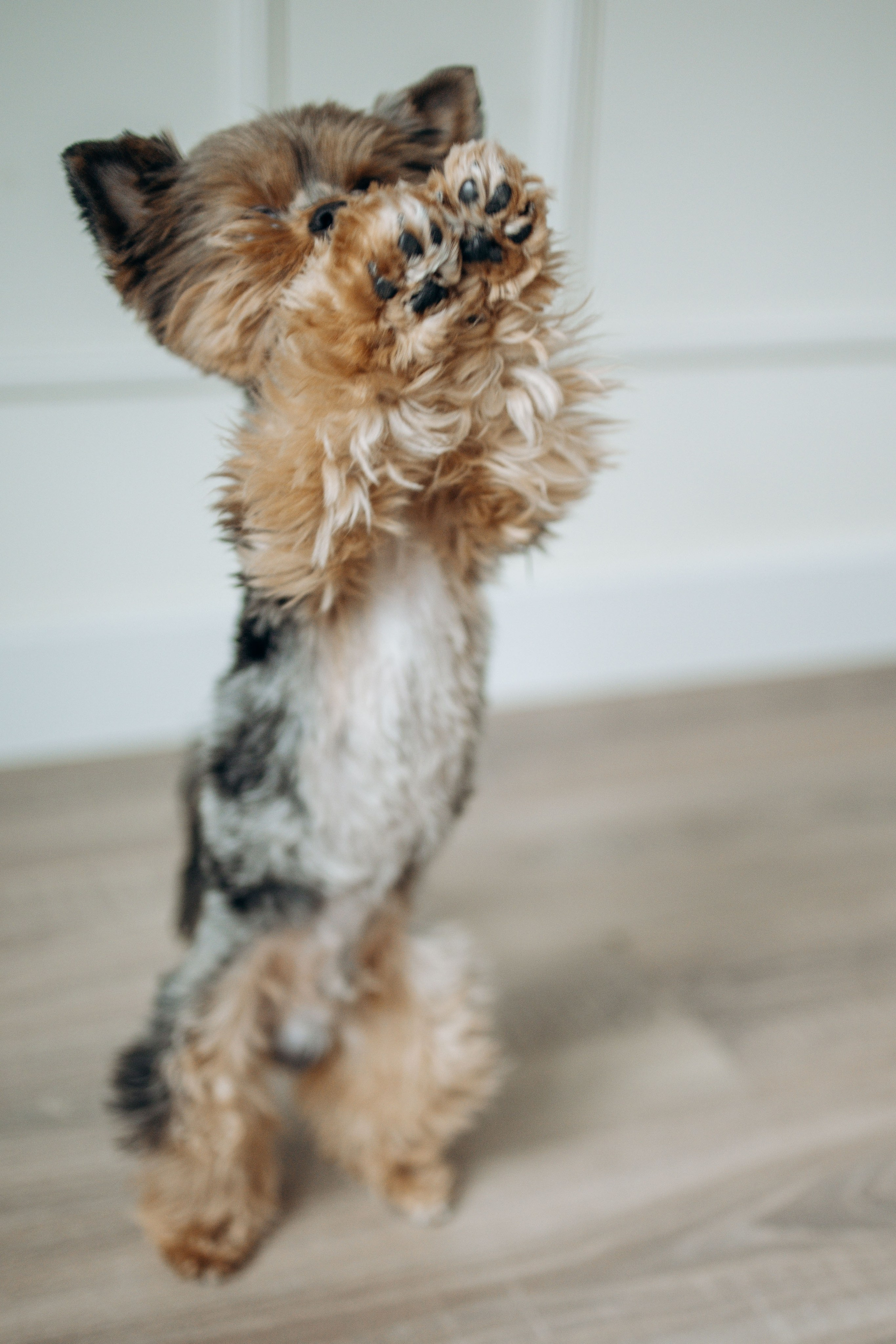 Настя и Йося