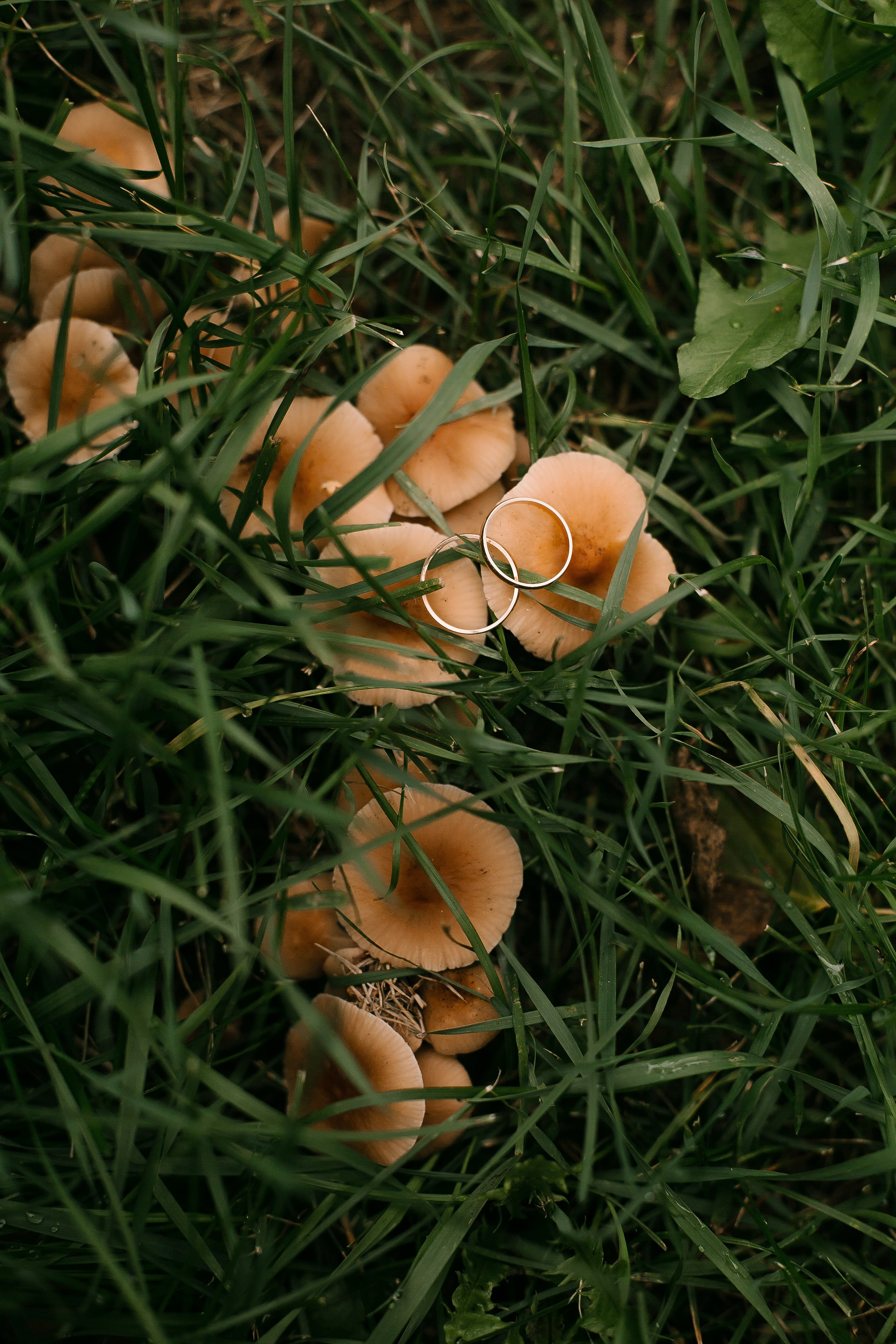 Георгий и Анна. Свадебный, семейный и детский фотограф в г. Абакан респ. Хакасия Любов