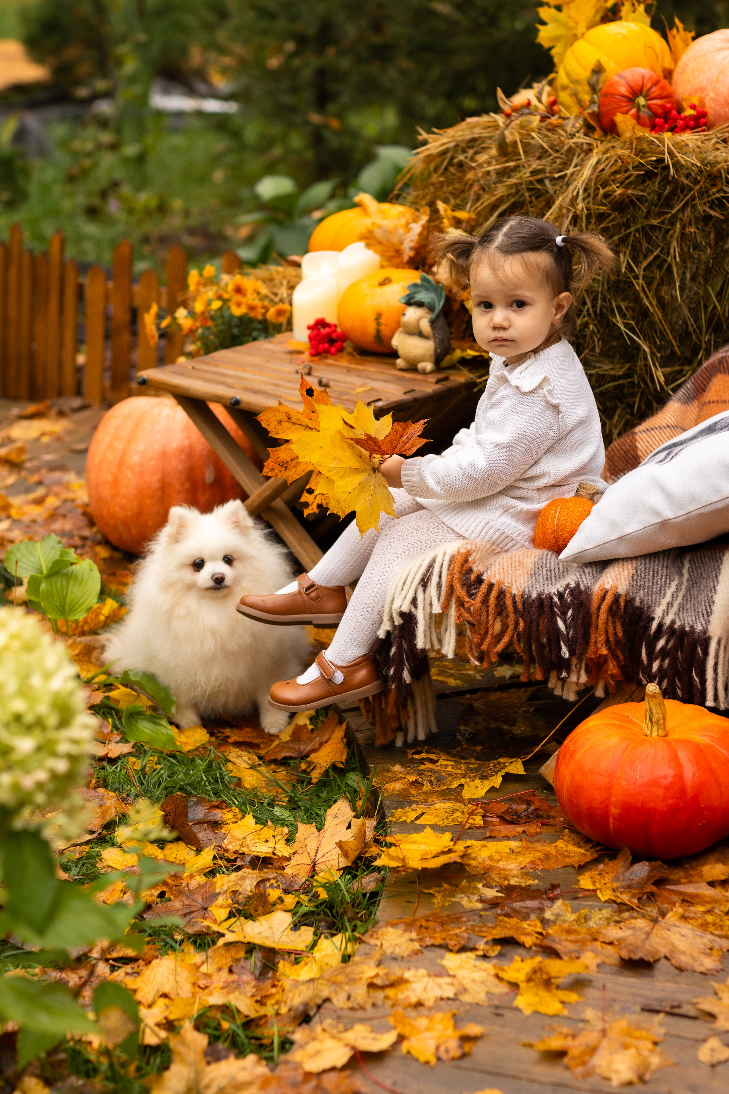 Осень. Профессиональный ретушер Москва и весь мир — Елена Тимченко