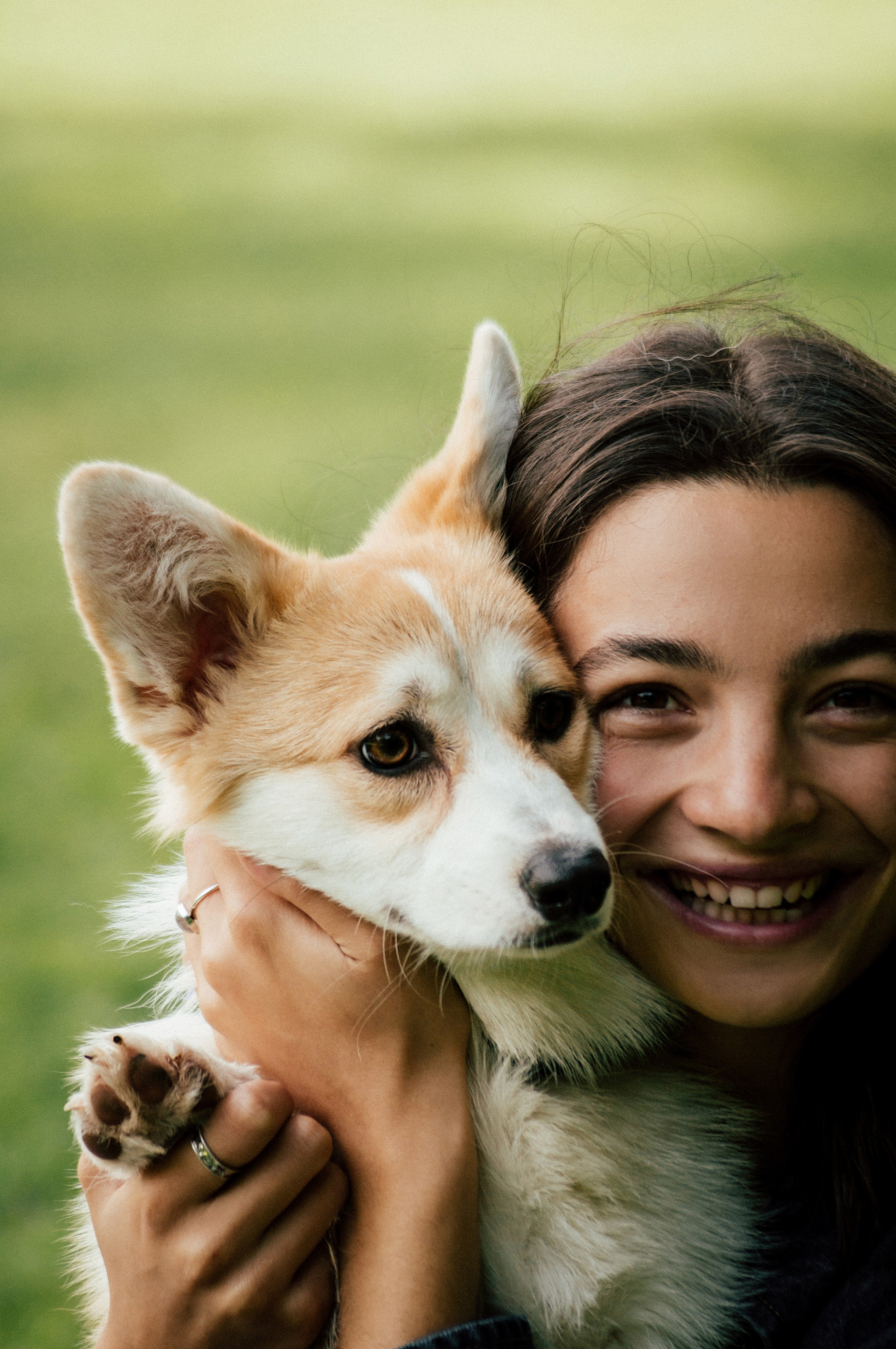 Фотосессия с собакой сахалин. Фотограф сахалин