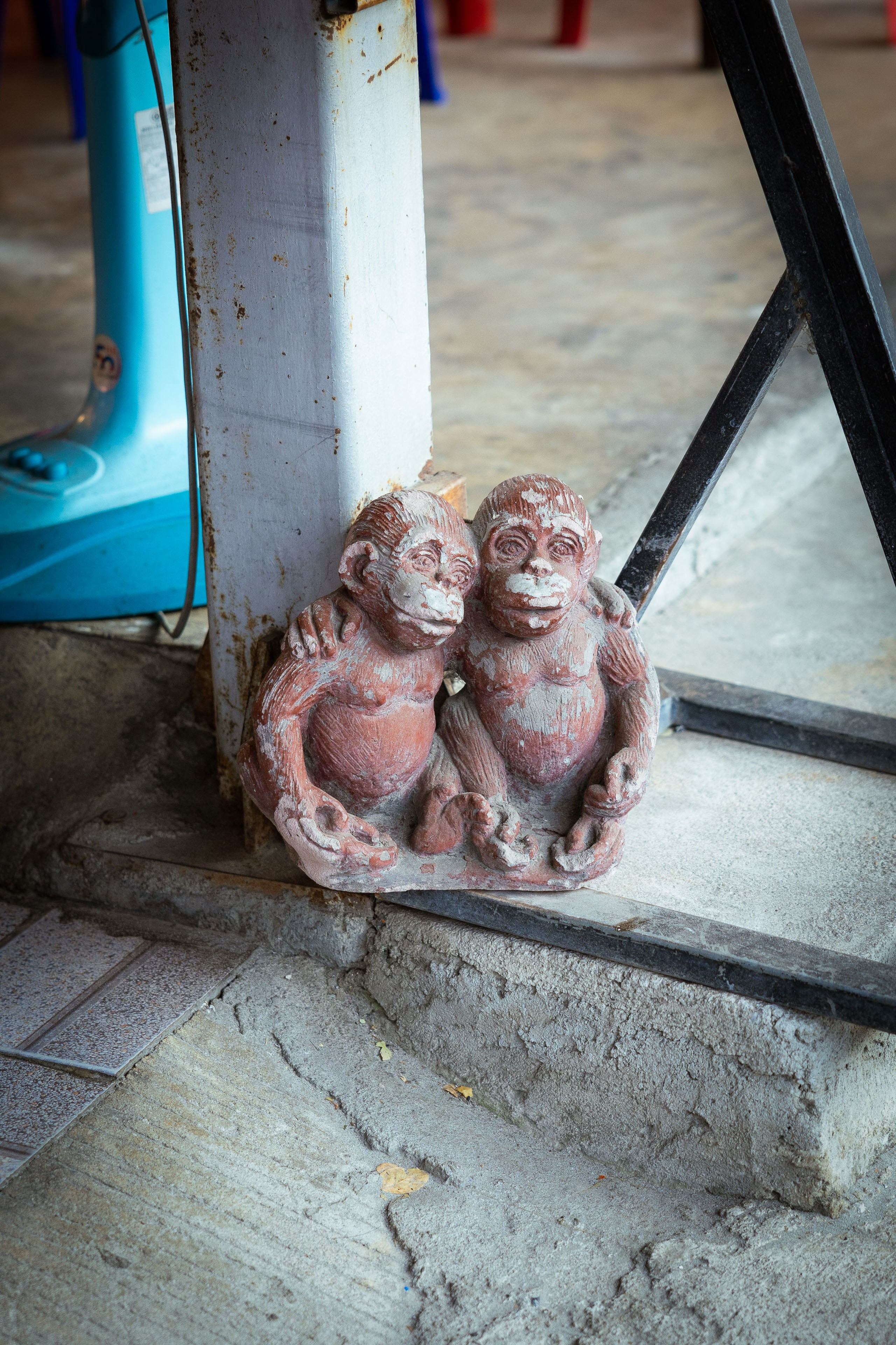 Таиланд (зима 2025). Фотограф Виноградов Константин