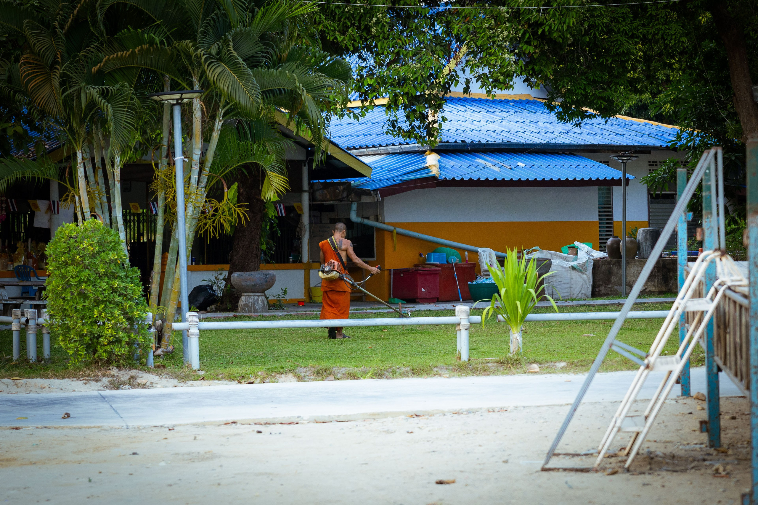 Таиланд (зима 2025). Фотограф Виноградов Константин