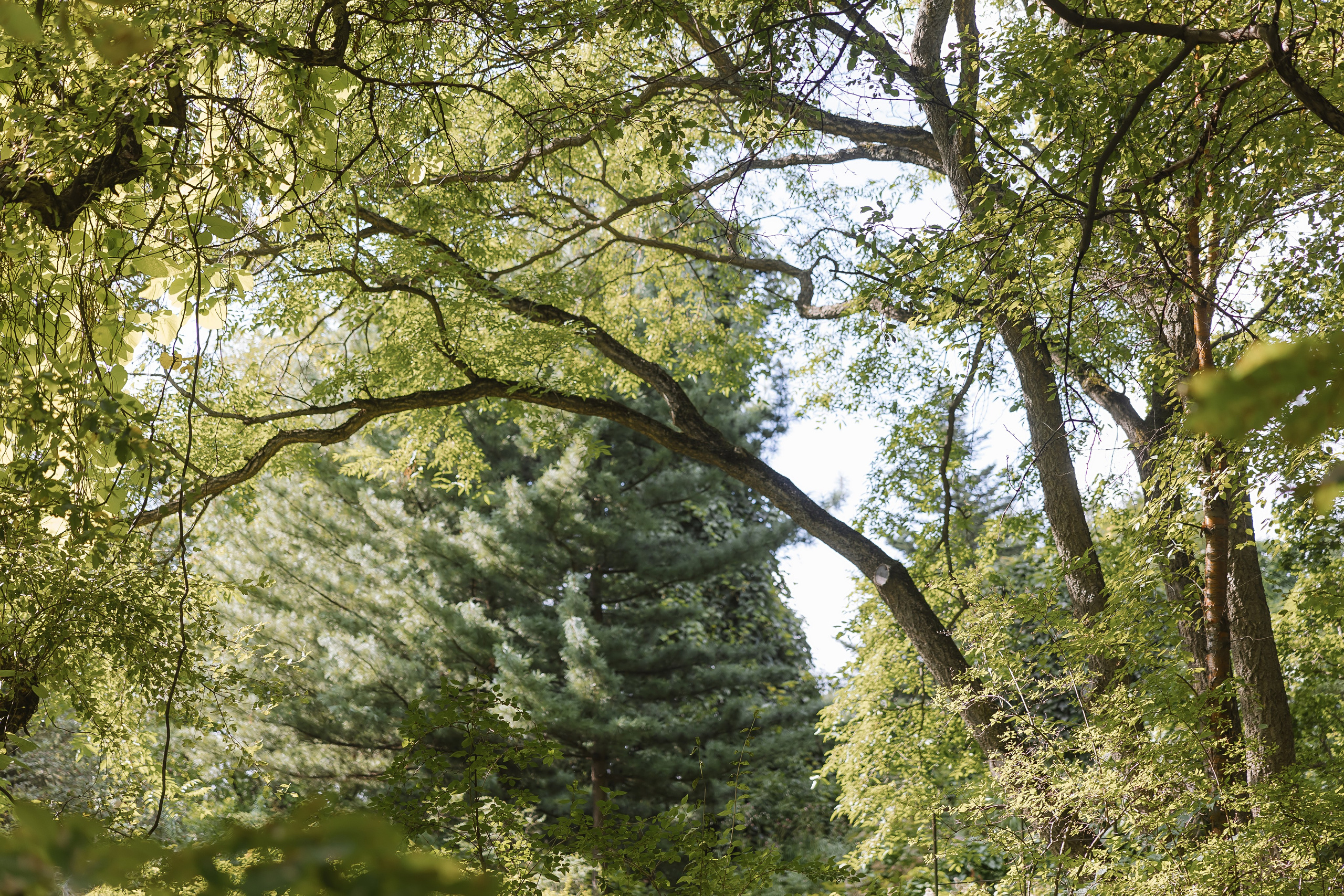 Николай и Вероника. Свадебный фотограф | Москва | Демидова Мария
