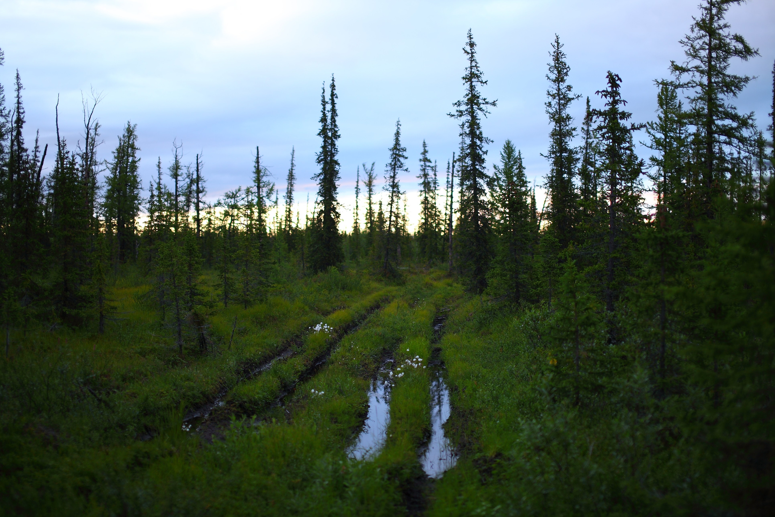 Полярный Урал. Свадебный и репортажный фотограф в Ярославле и Санкт-Петербурге Роман Микрюков