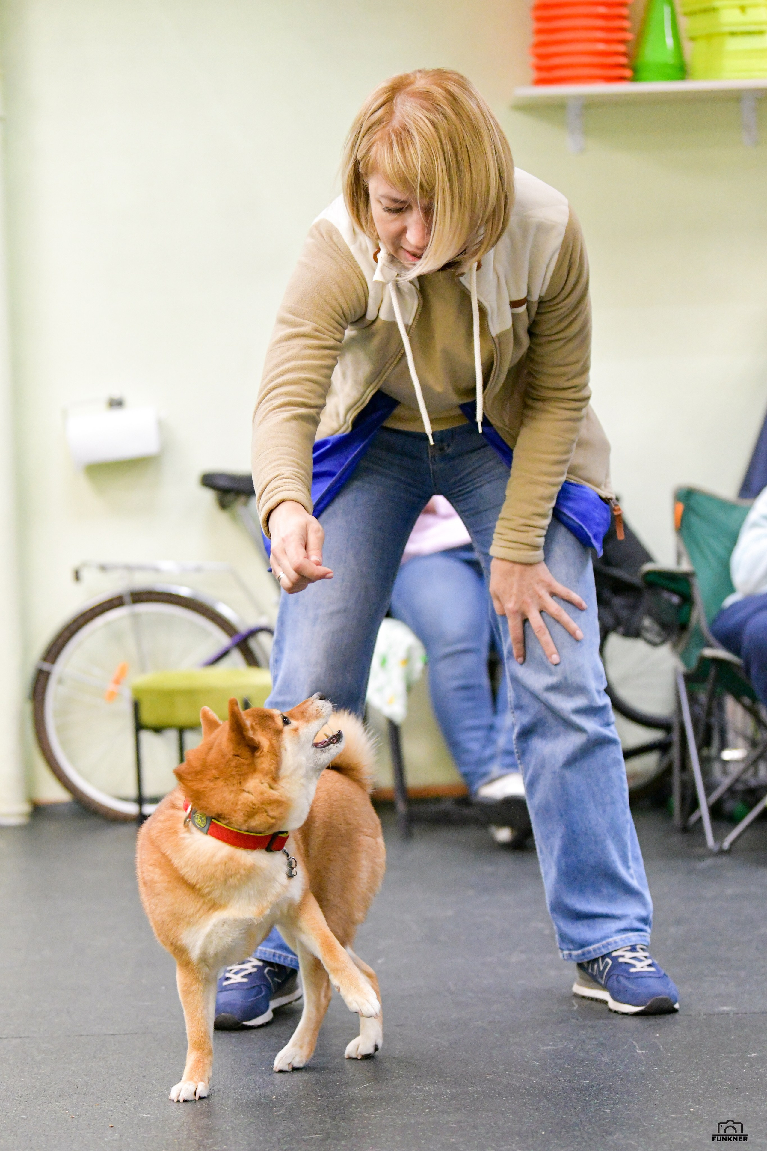 Кинологический клуб «Бодрый хвост». Свой взгляд через объектив