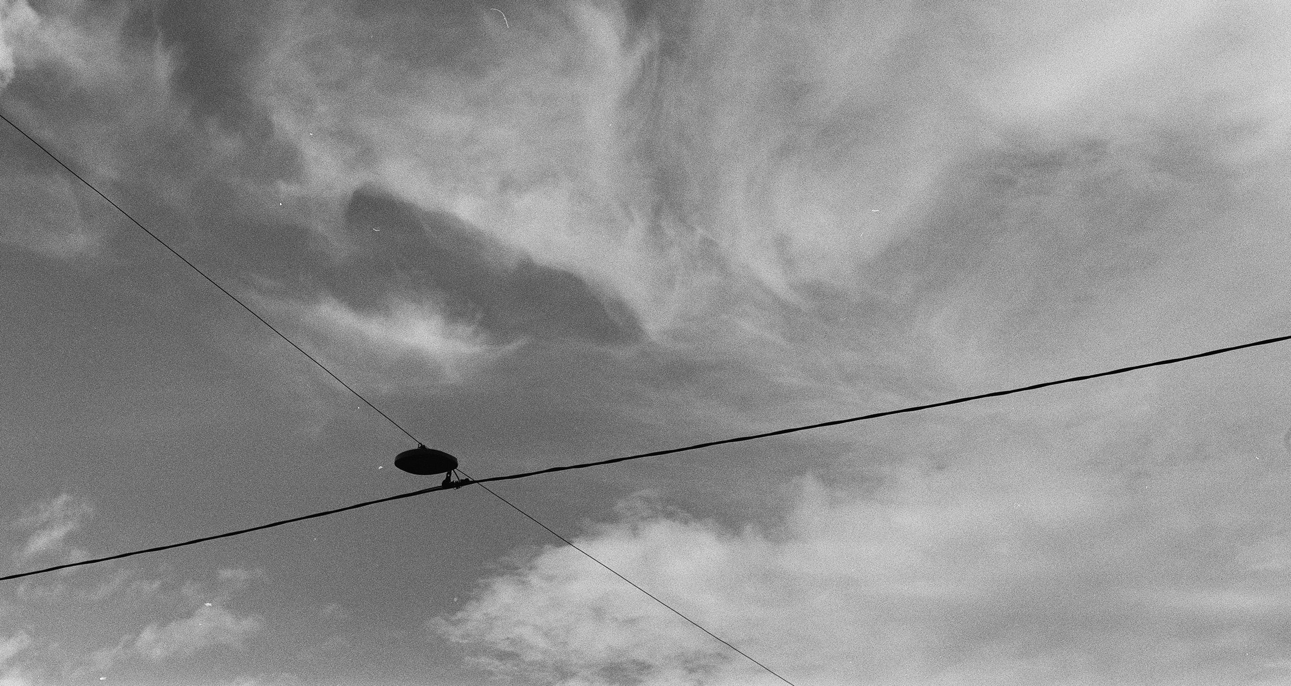 Плёнка🎞️. Фотограф в Москве Ксюшенька