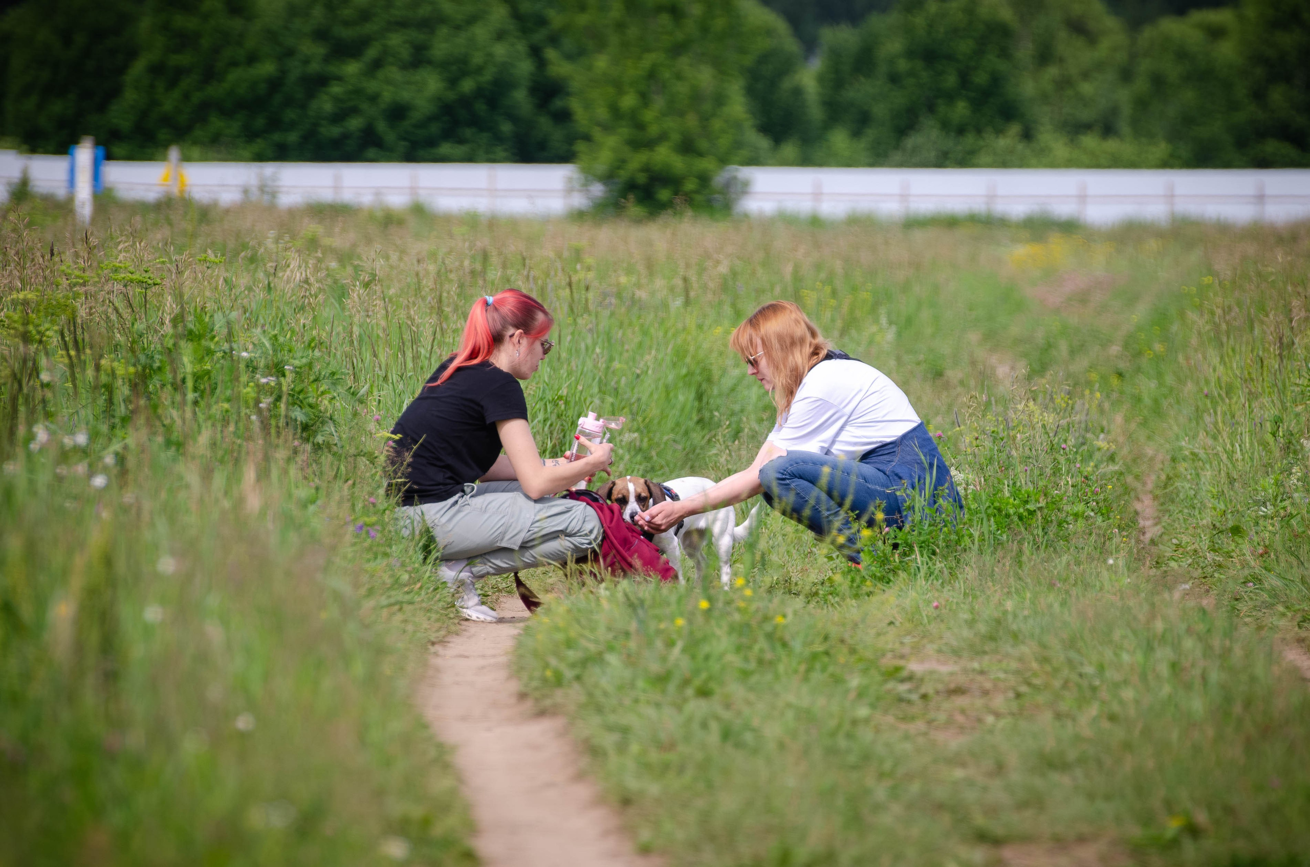 Прогулка (Лохин остров). Фотограф Светлана Блинова, Москва и Московская область