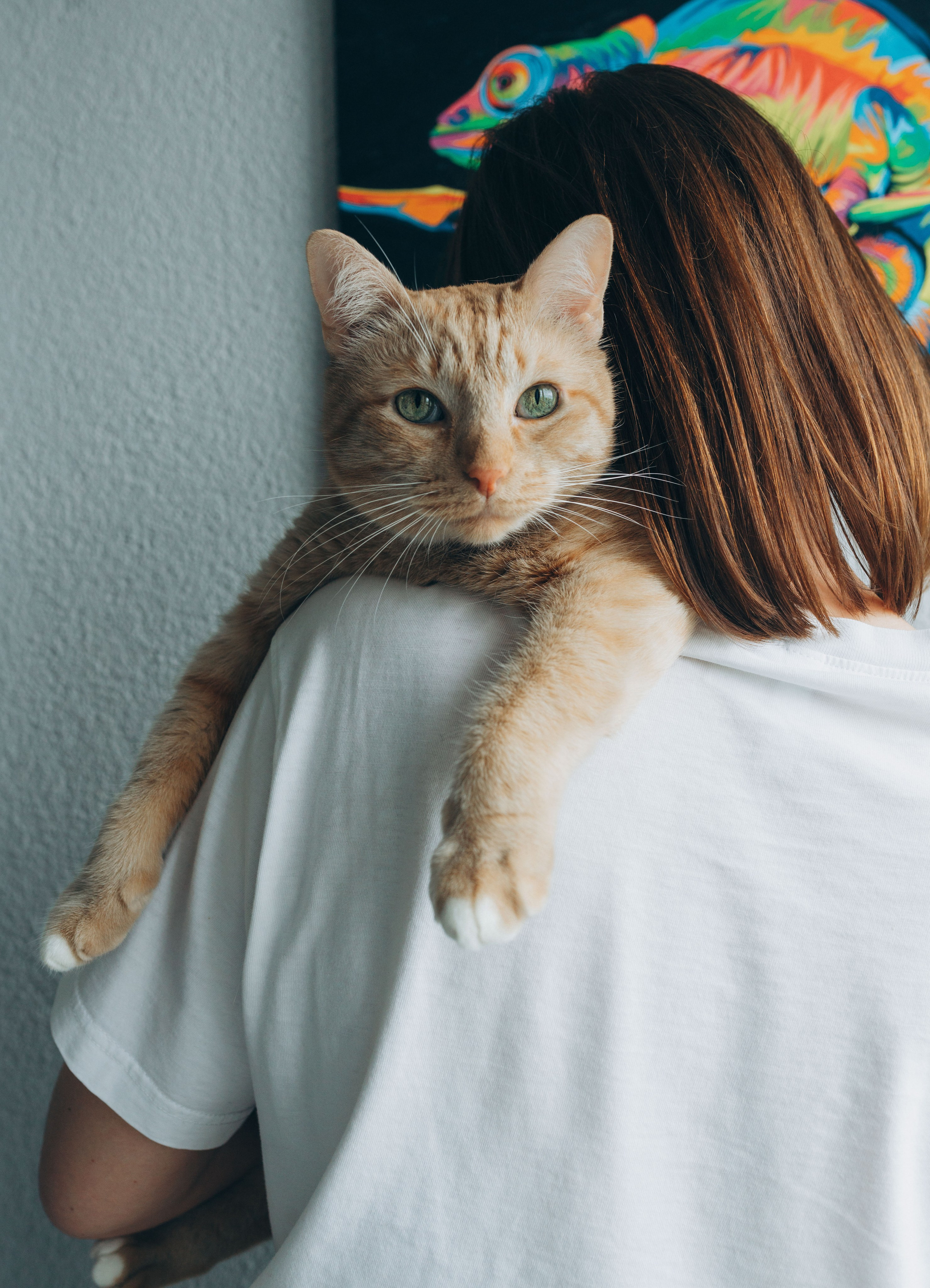 Даша и Брукс. Фотограф анималист в Спб недорого Олеся Майорова