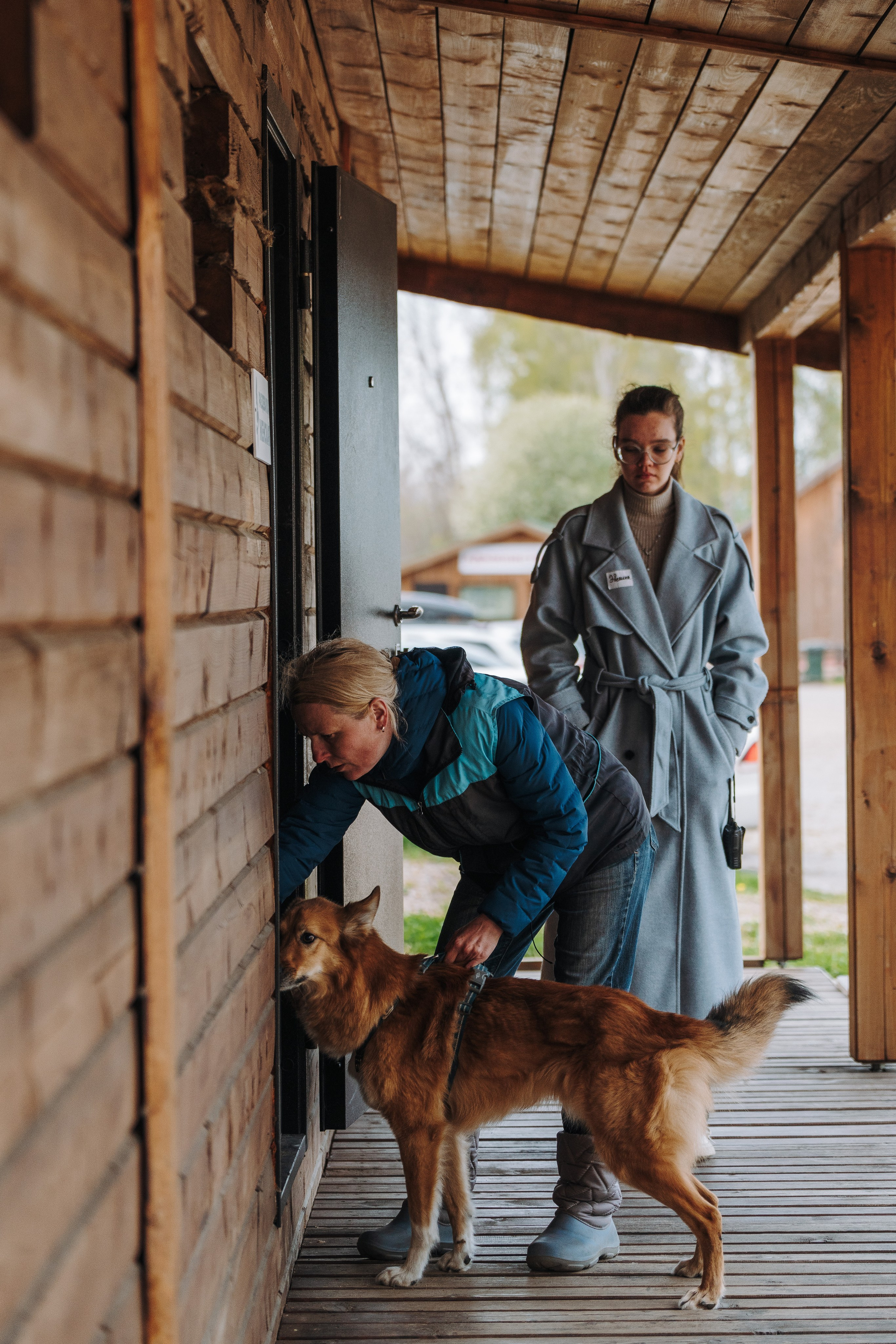 Соревнования по ноузворку в Лосево. Фотограф анималист в Спб недорого Олеся Майорова