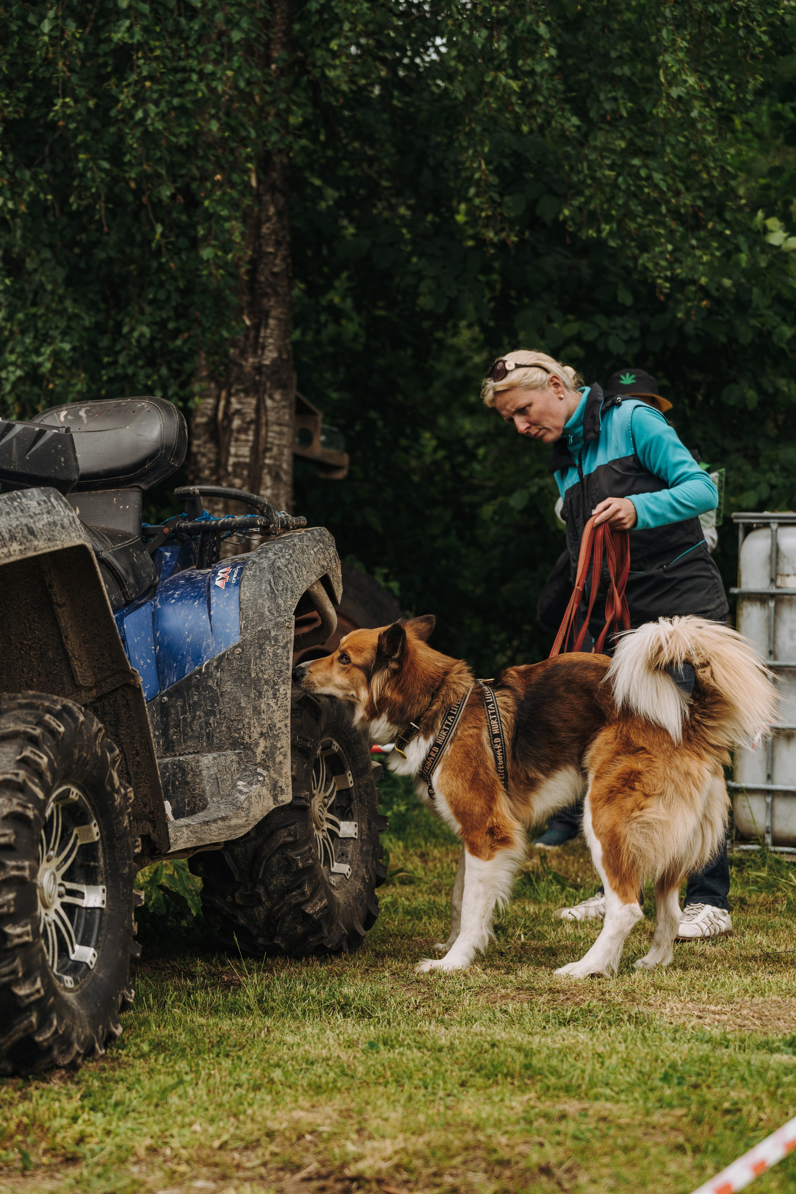 Соревнования по ноузворку. Фотограф анималист в Спб недорого Олеся Майорова