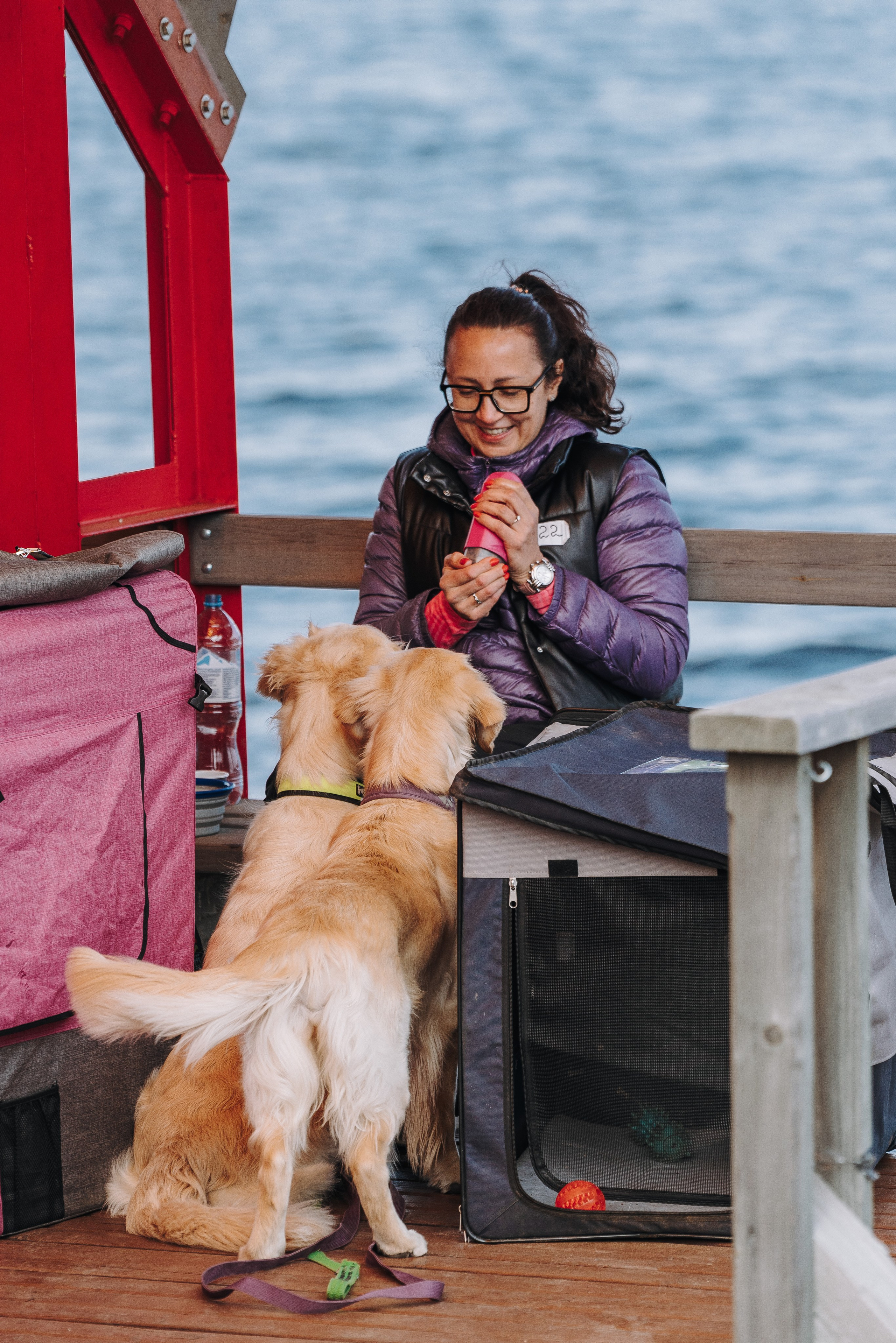 Соревнования по ноузворку в Лосево. Фотограф анималист в Спб недорого Олеся Майорова