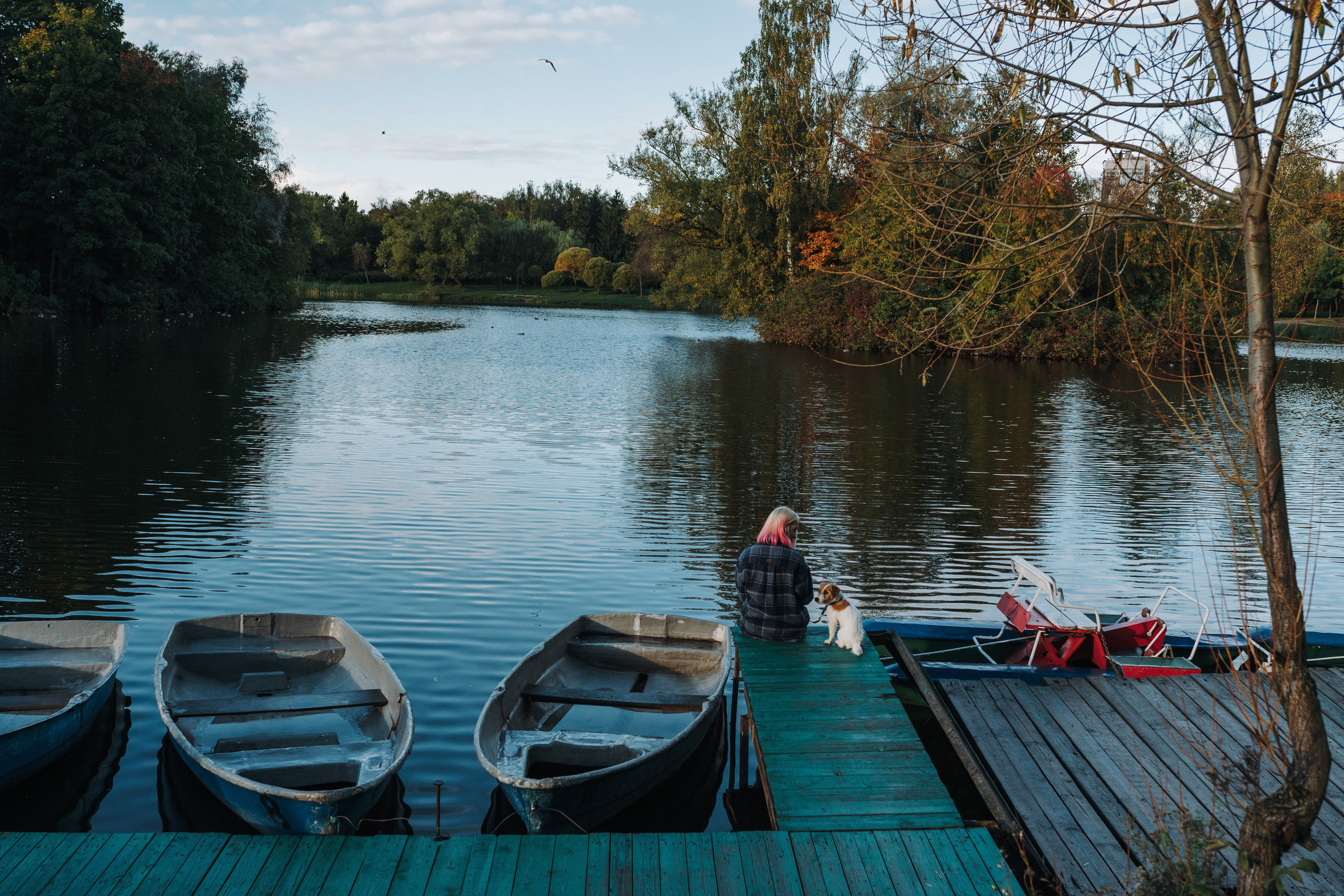 Фотосессия с маленькой собакой Спб. Фотограф анималист в Спб недорого Олеся Майорова