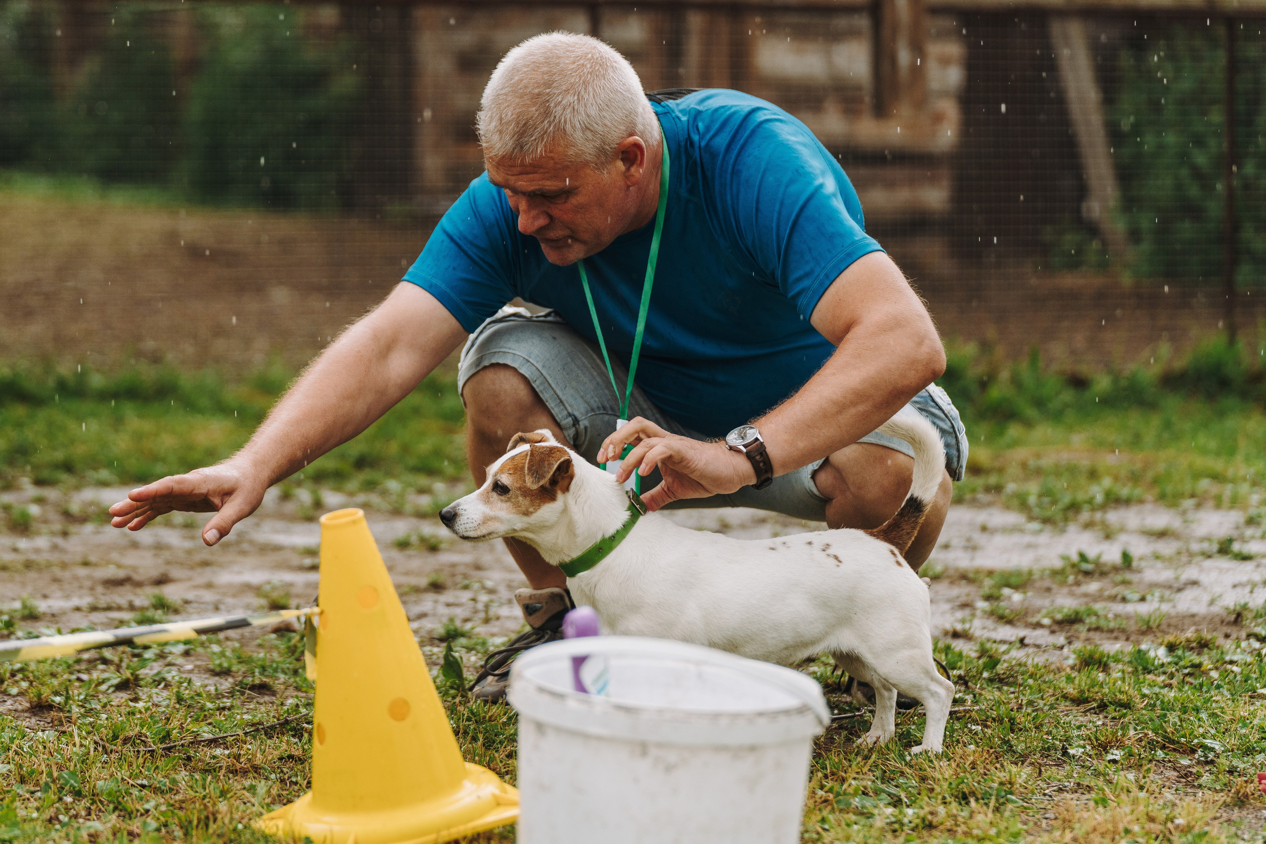 Соревнования по ноузворку в Новожилово. Фотограф анималист в Спб недорого Олеся Майорова