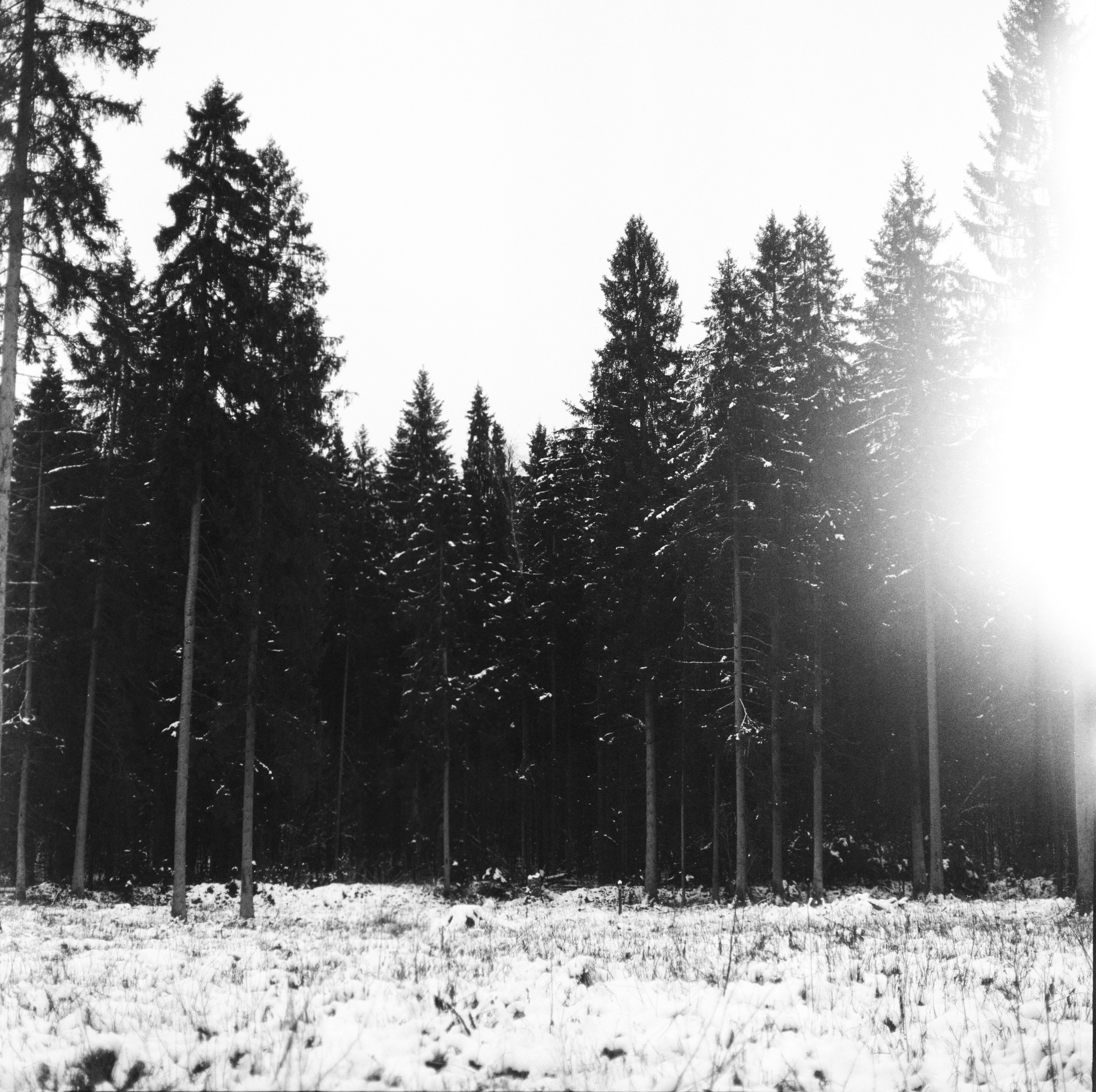 Kowa Super 66 — Kowa 85 mm f/2.8 / SFL Double-X Aerographic 400 (Kodak 2405)