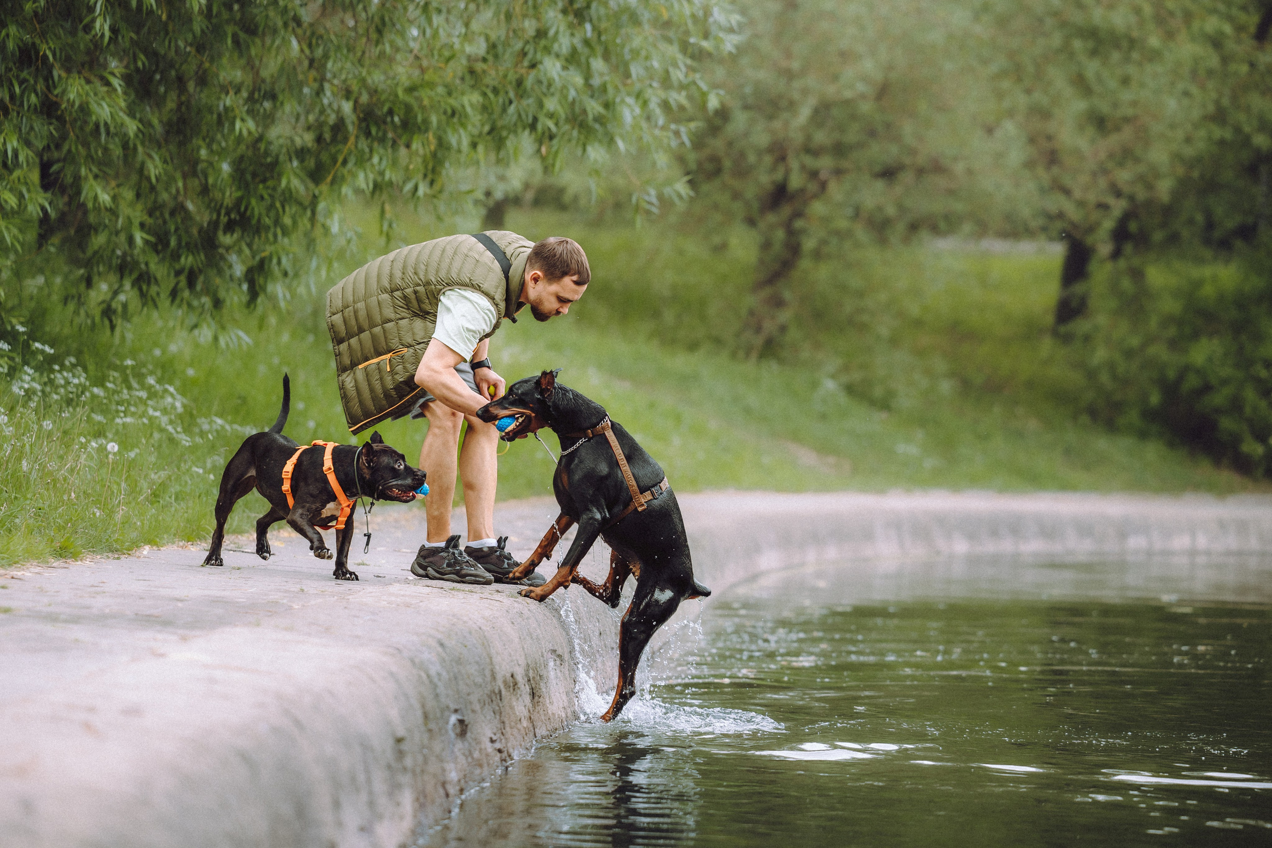 Паша, Хайди и Тея