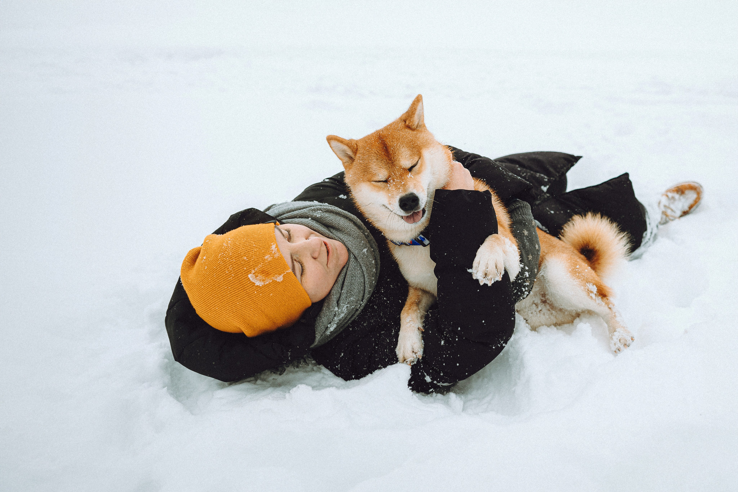 Настя и Ронин