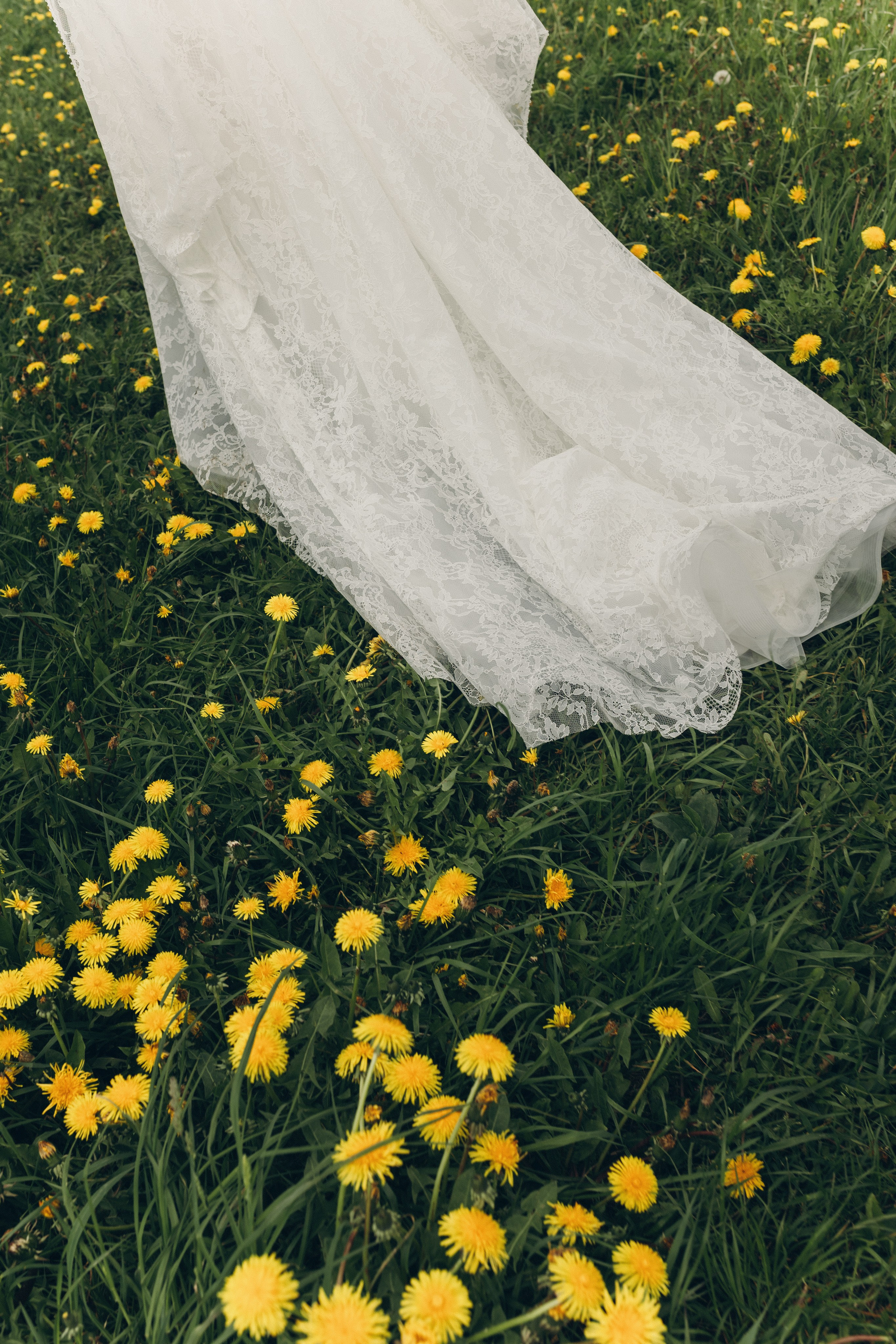 Vinity Forest. Фотограф Анастасия Платонова | Санкт-Петербург