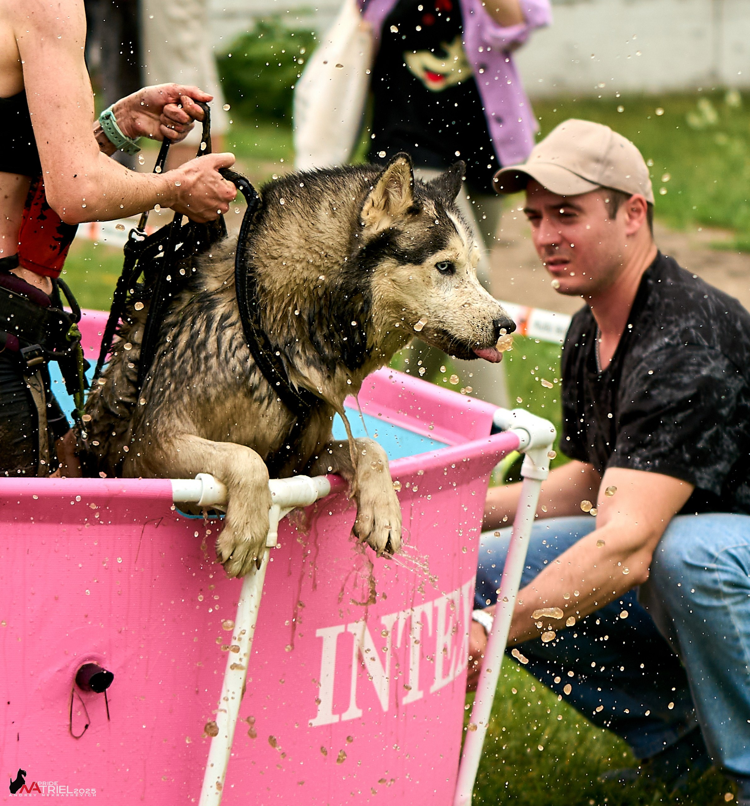 Russian Extreme Dog Trail — 2025