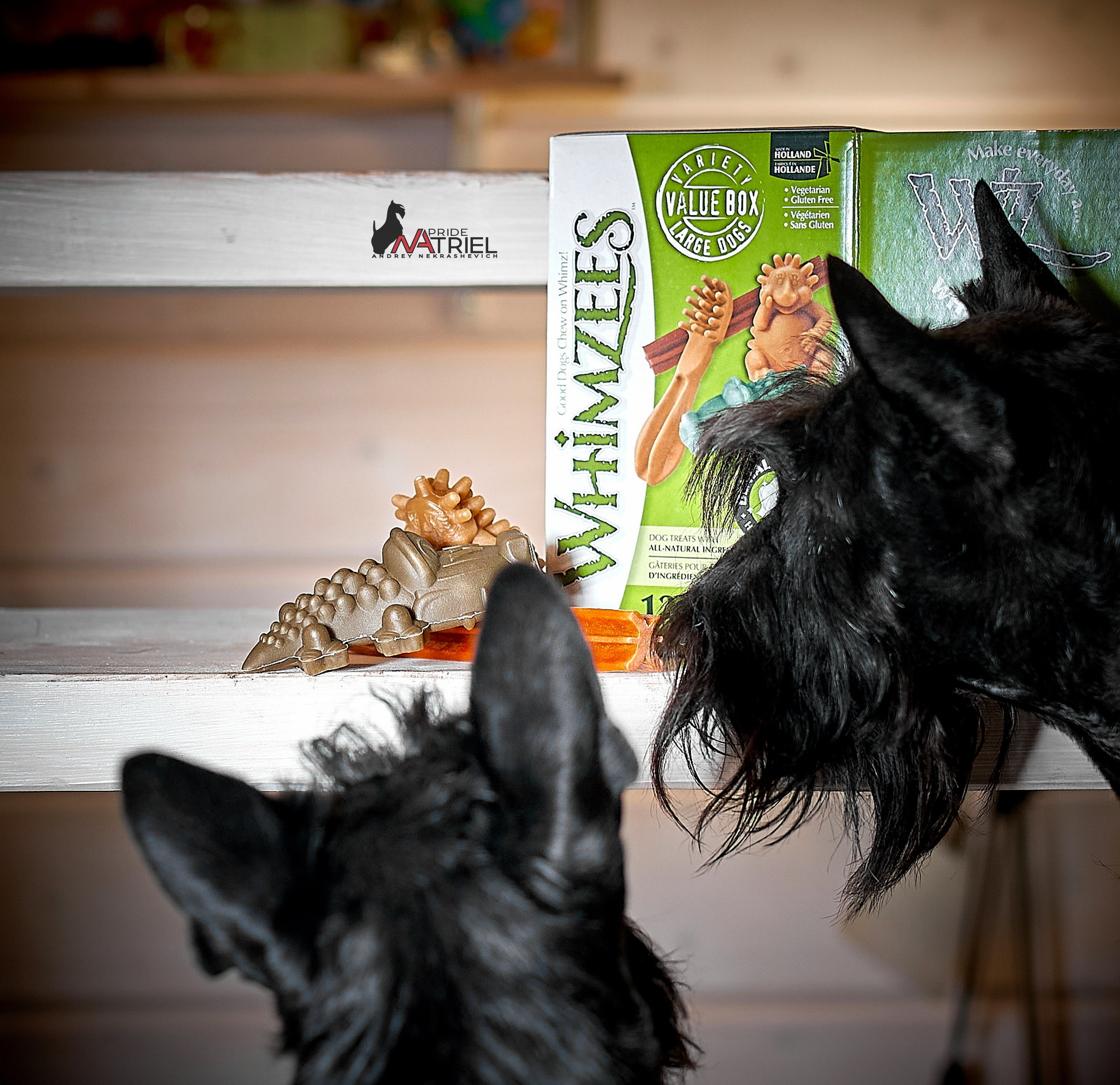 Реклама с животными — галерея NATRIEL